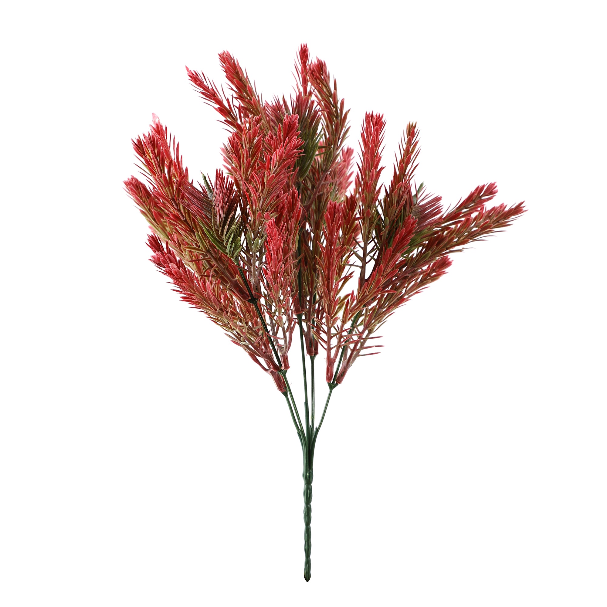 Red Pampas Grass Bunch (Single)