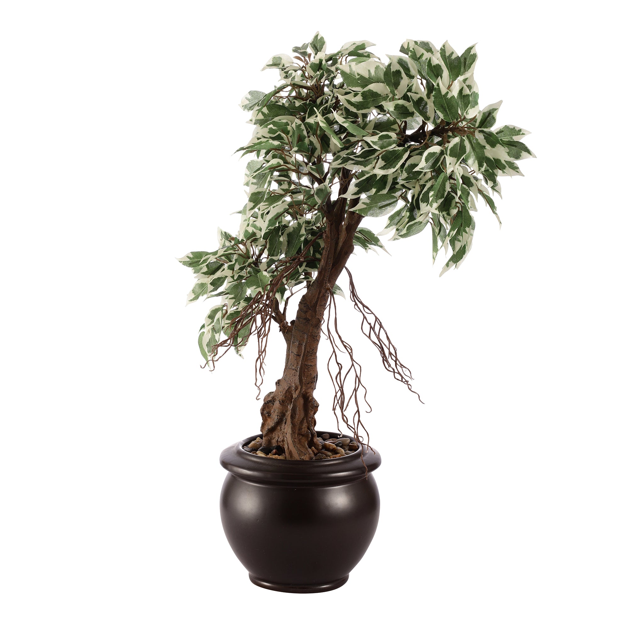 Schefflera Faux Ceramic Potted Plant