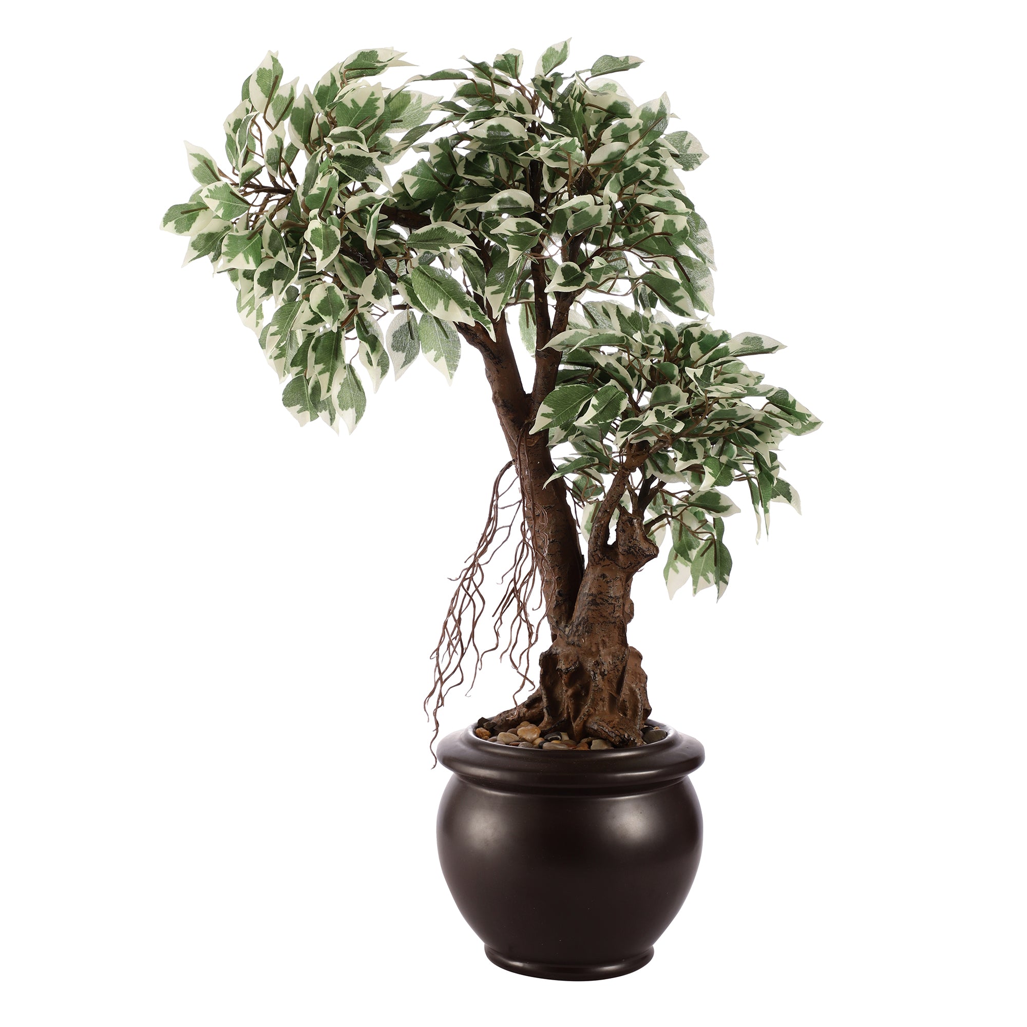 Schefflera Faux Ceramic Potted Plant