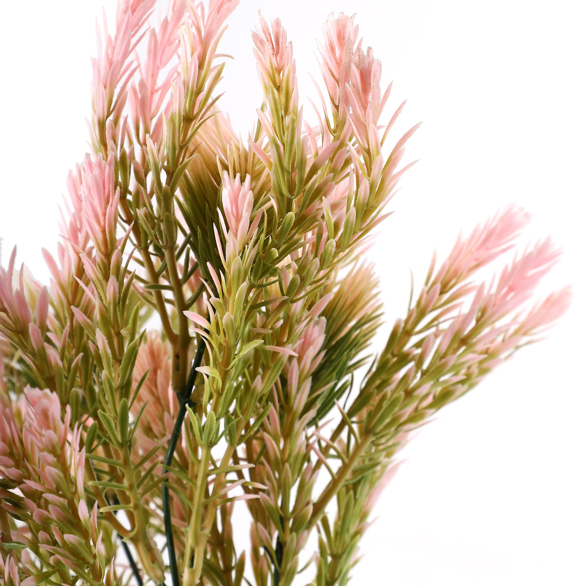 Pink Pampas Grass Bunch (Single)