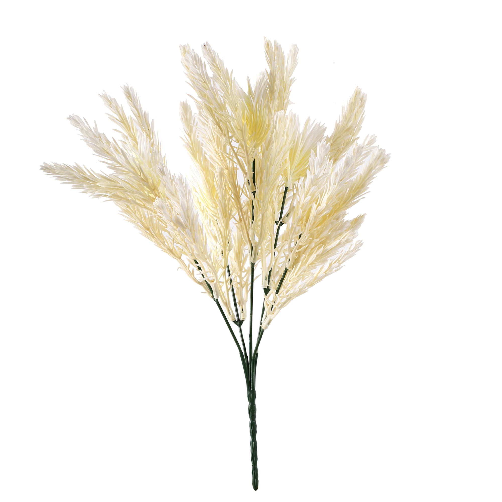 Cream Pampas Grass Bunch (Single)