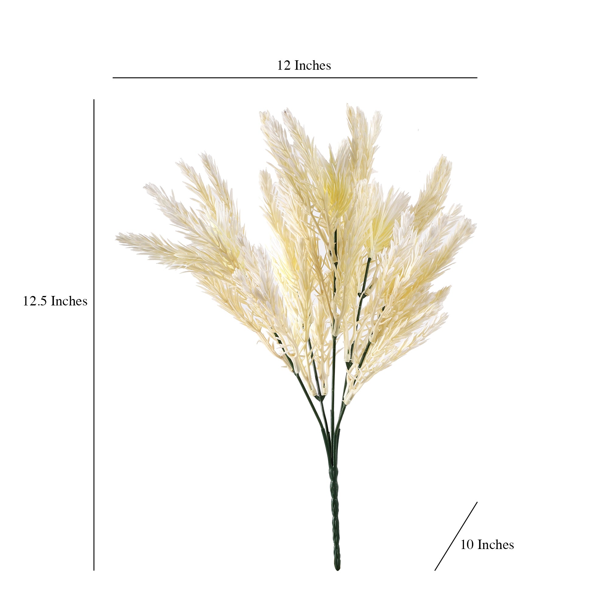 Cream Pampas Grass Bunch (Single)