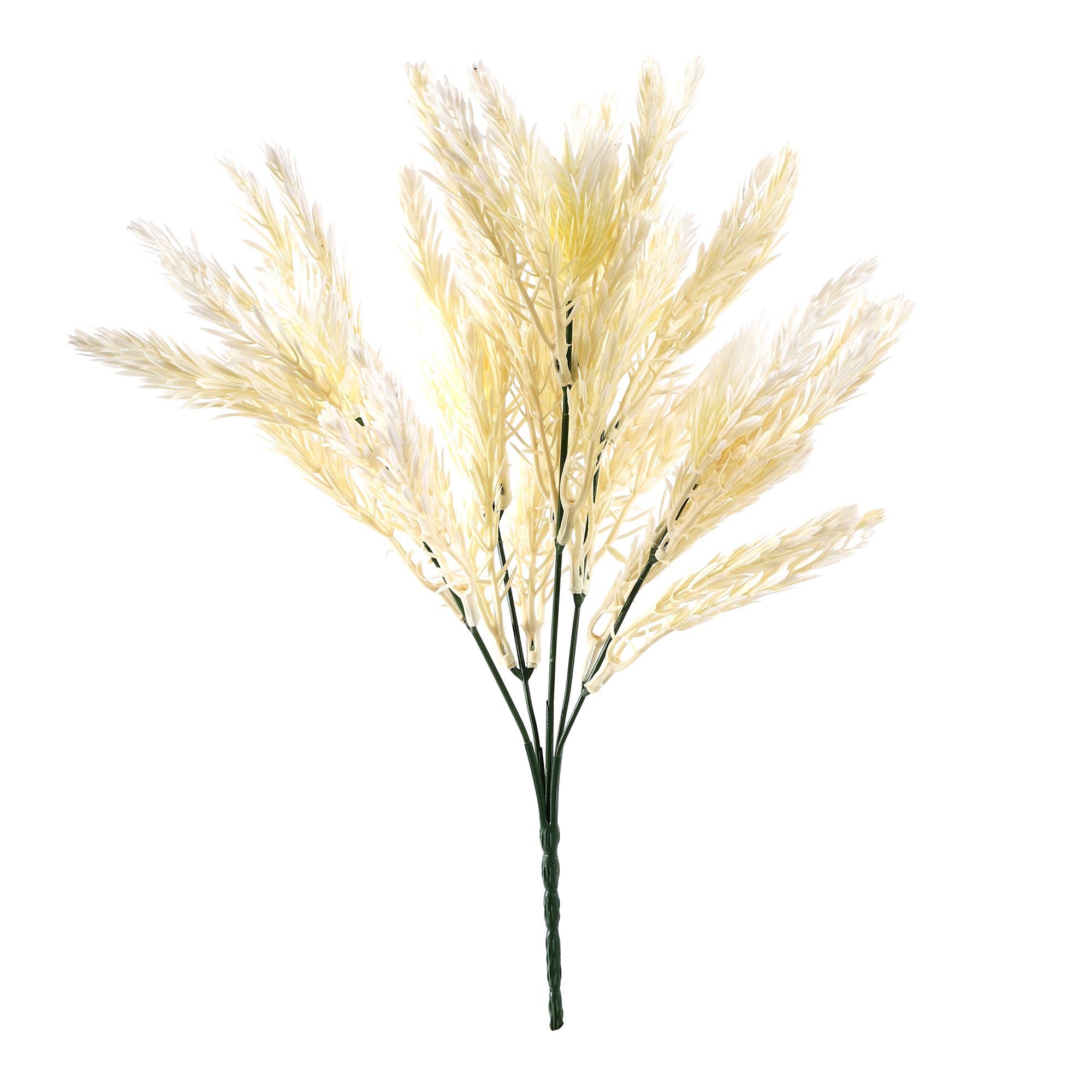 Cream Pampas Grass Bunch (Single)