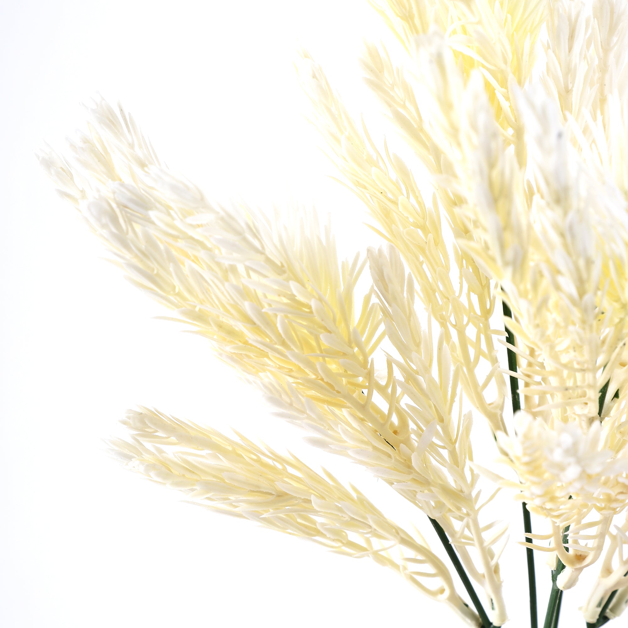 Cream Pampas Grass Bunch (Single)