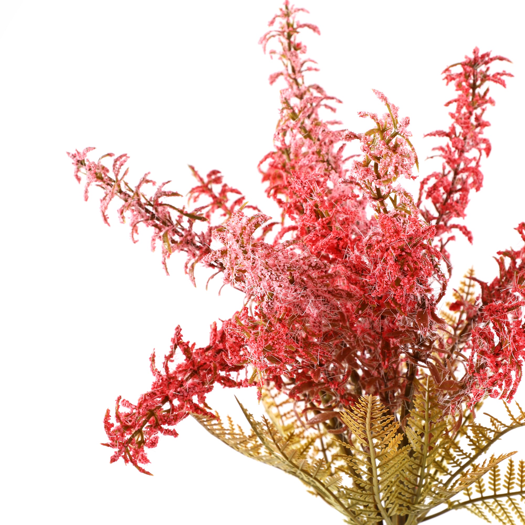 Pink Feather Fern Bunch (Single)