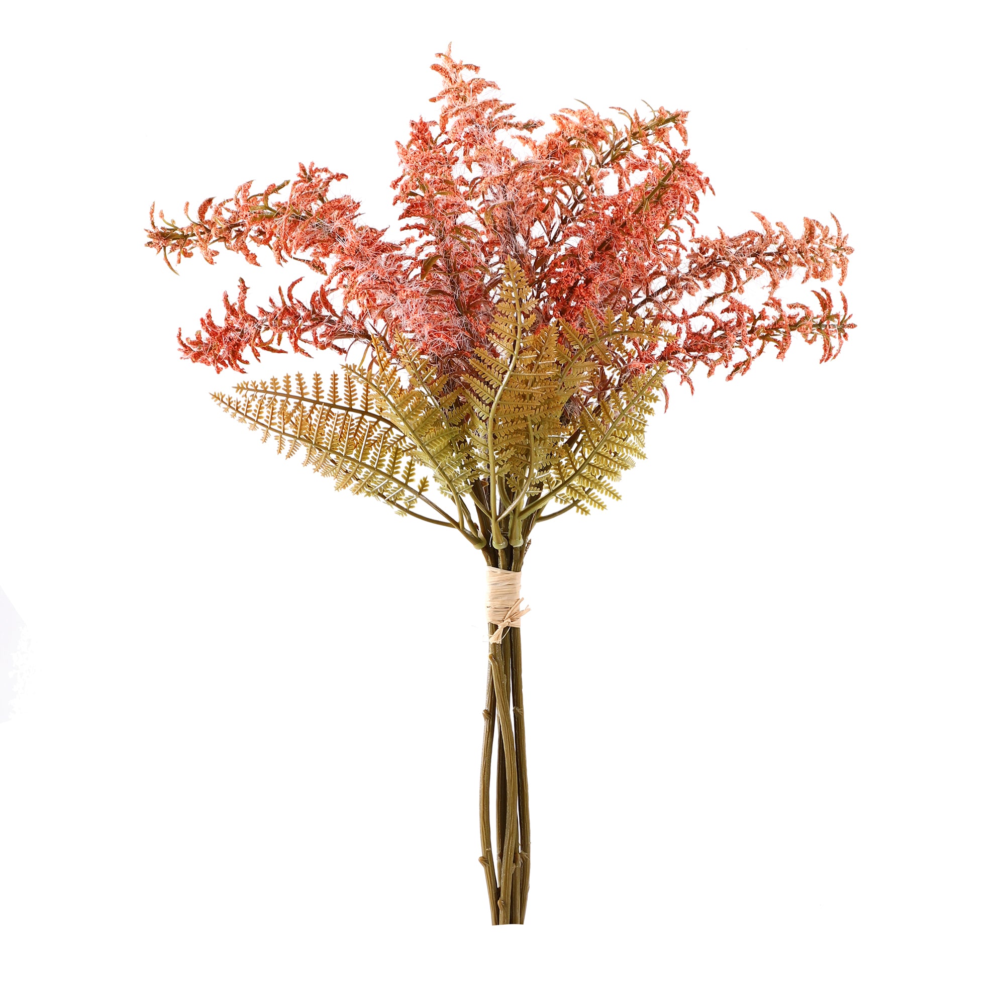 Peach Feather Fern Bunch (Single)