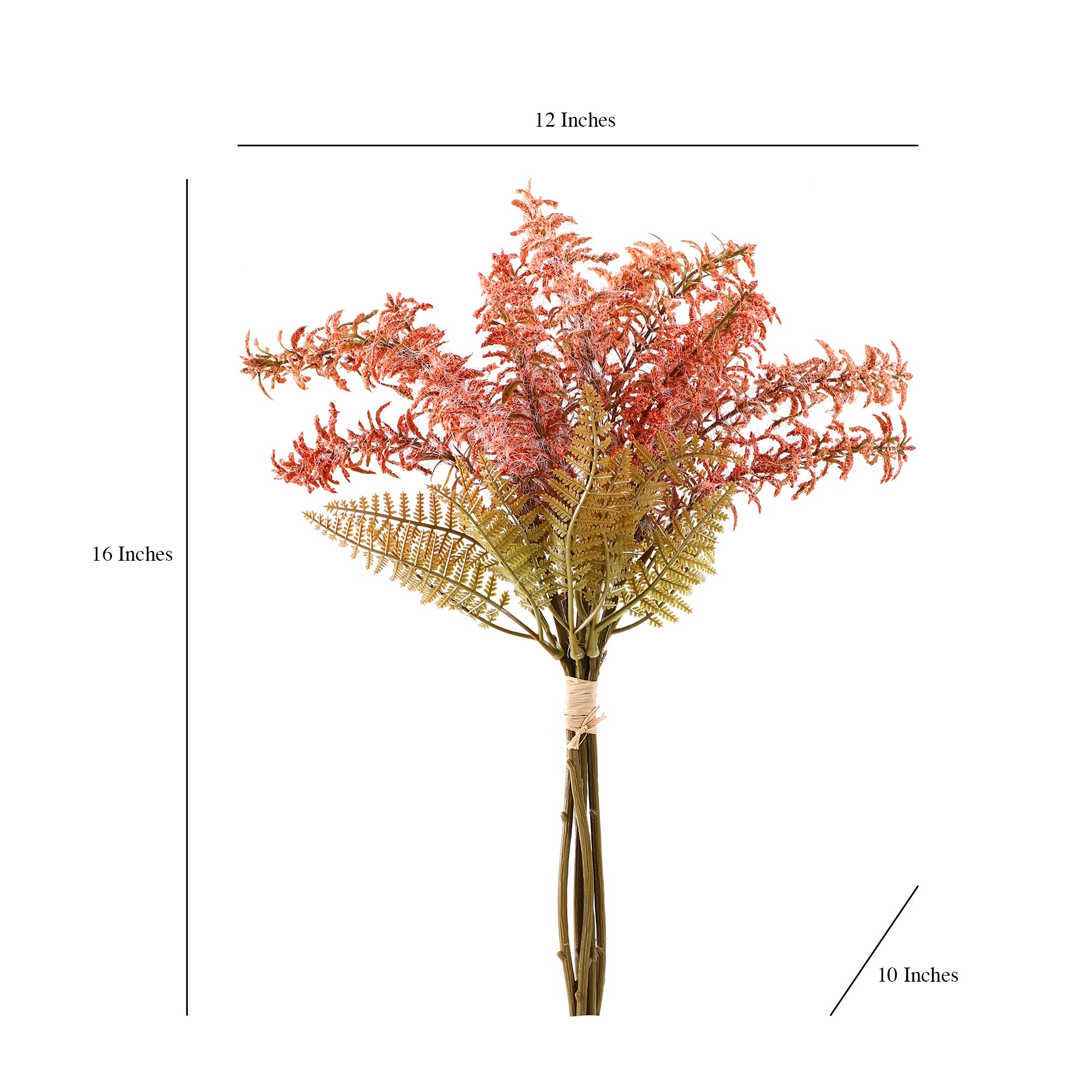 Peach Feather Fern Bunch (Single)