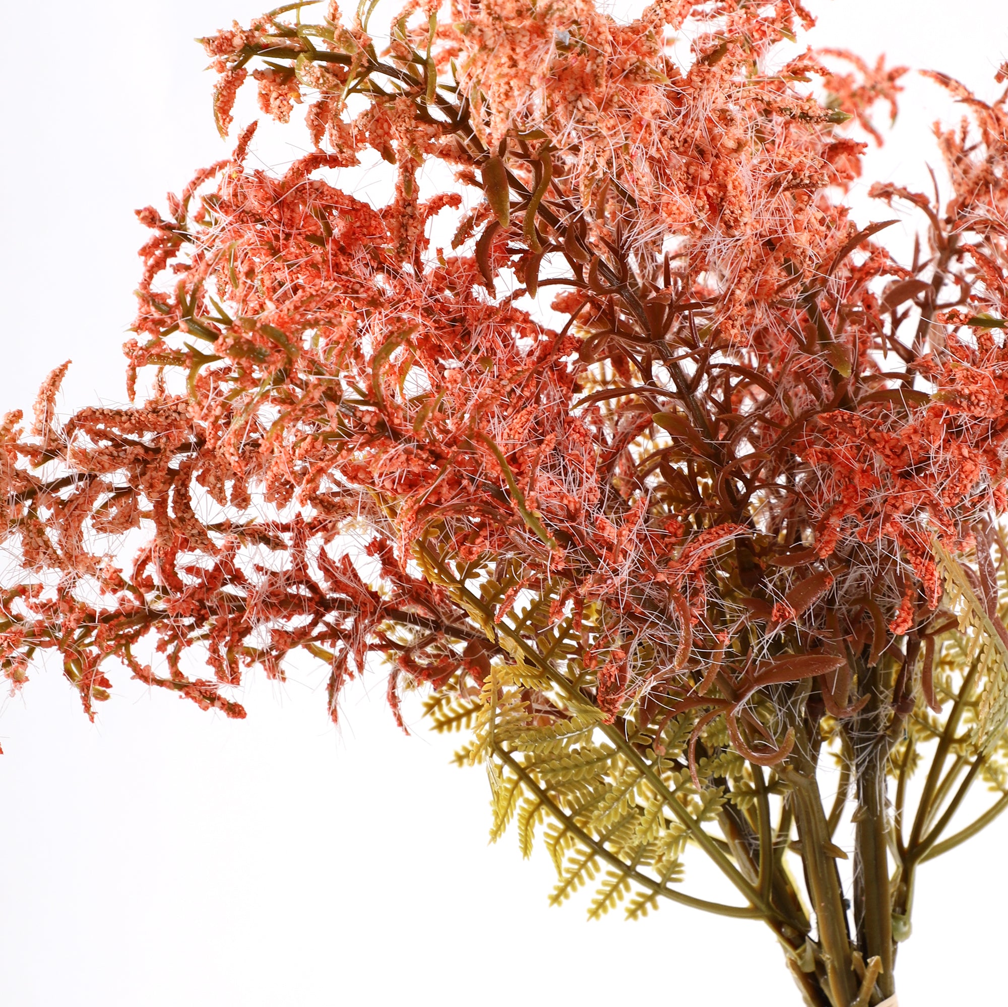 Peach Feather Fern Bunch (Single)