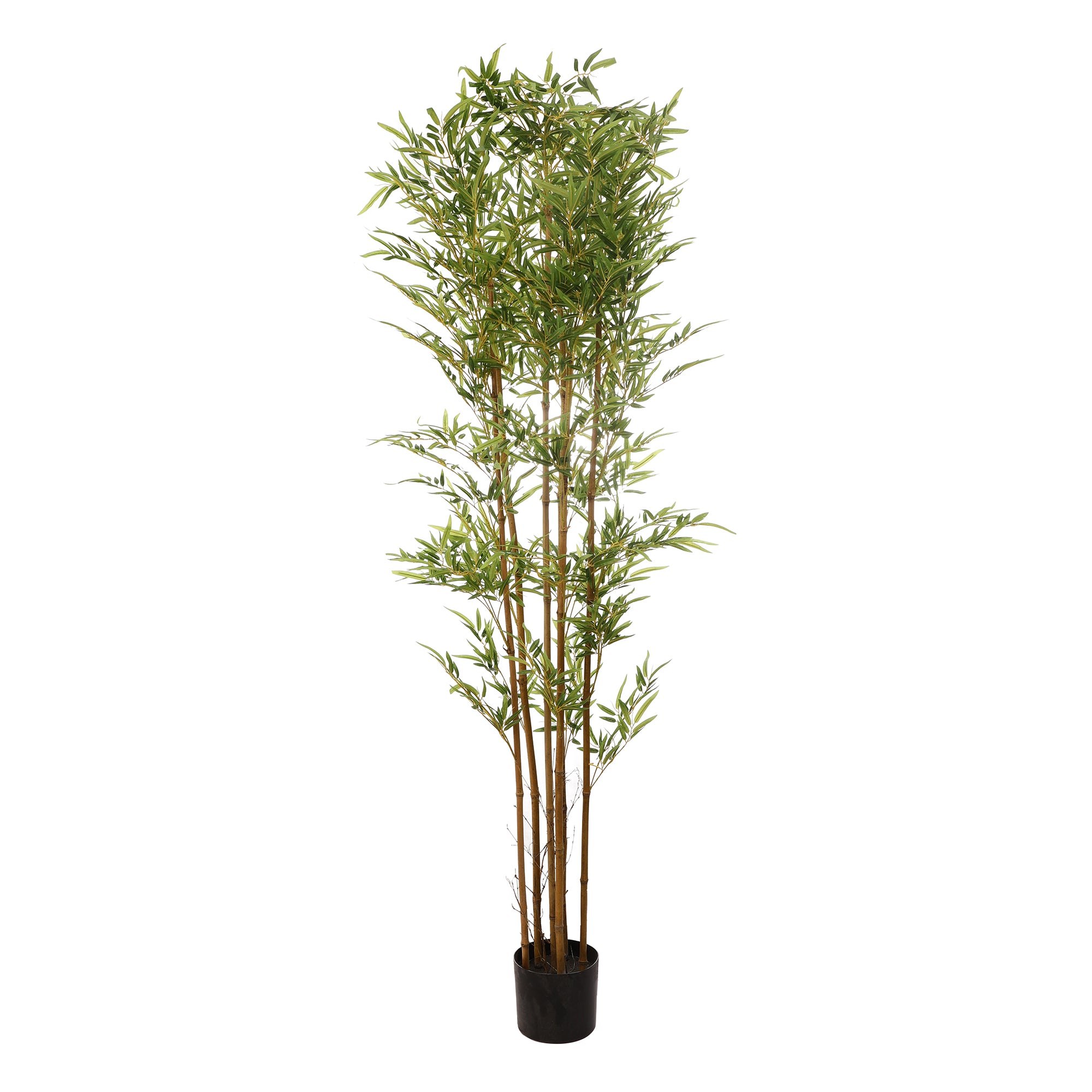 Green Bamboo Faux Plant (Tall)