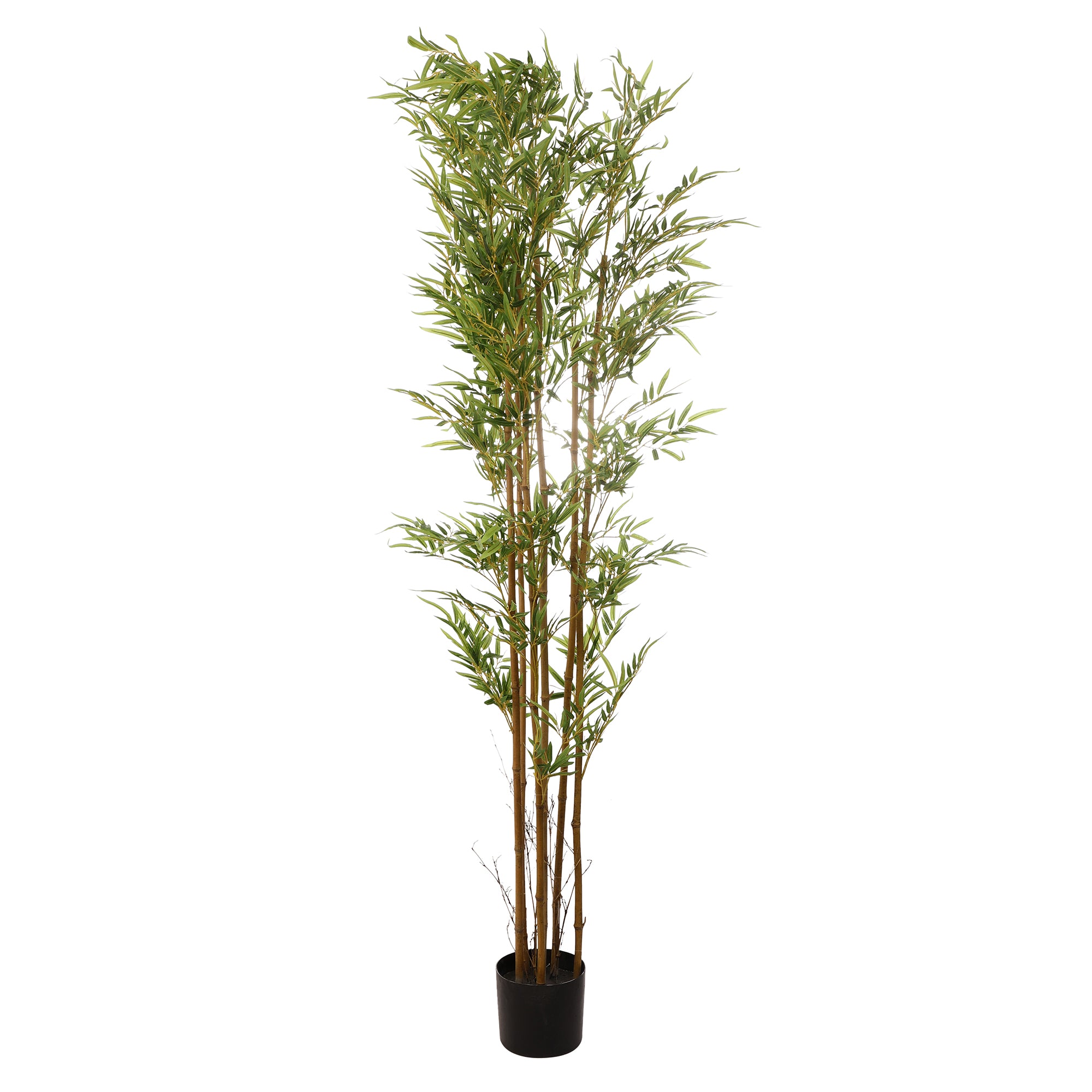 Green Bamboo Faux Plant (Tall)