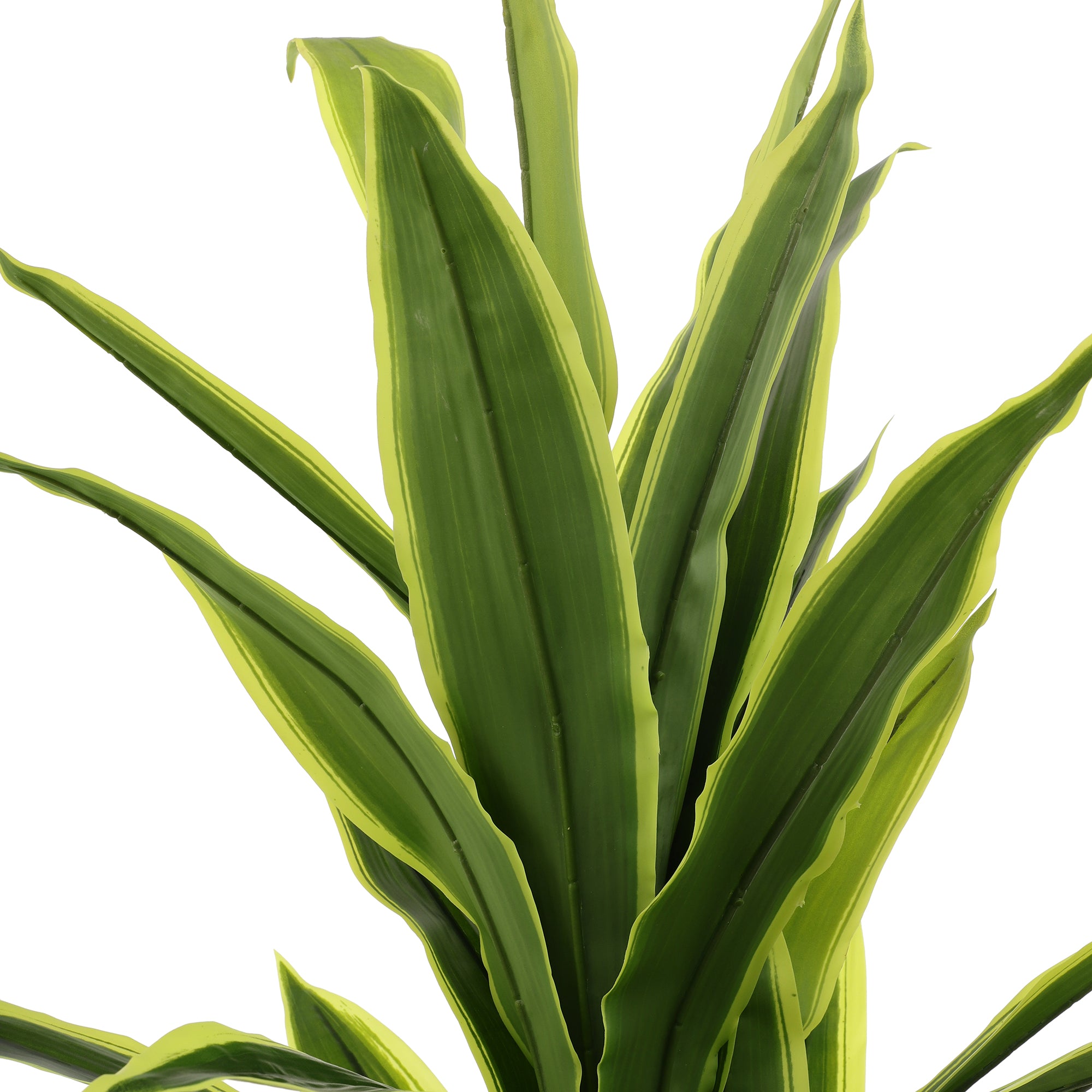 Green Yucca Faux Plant (Tall)