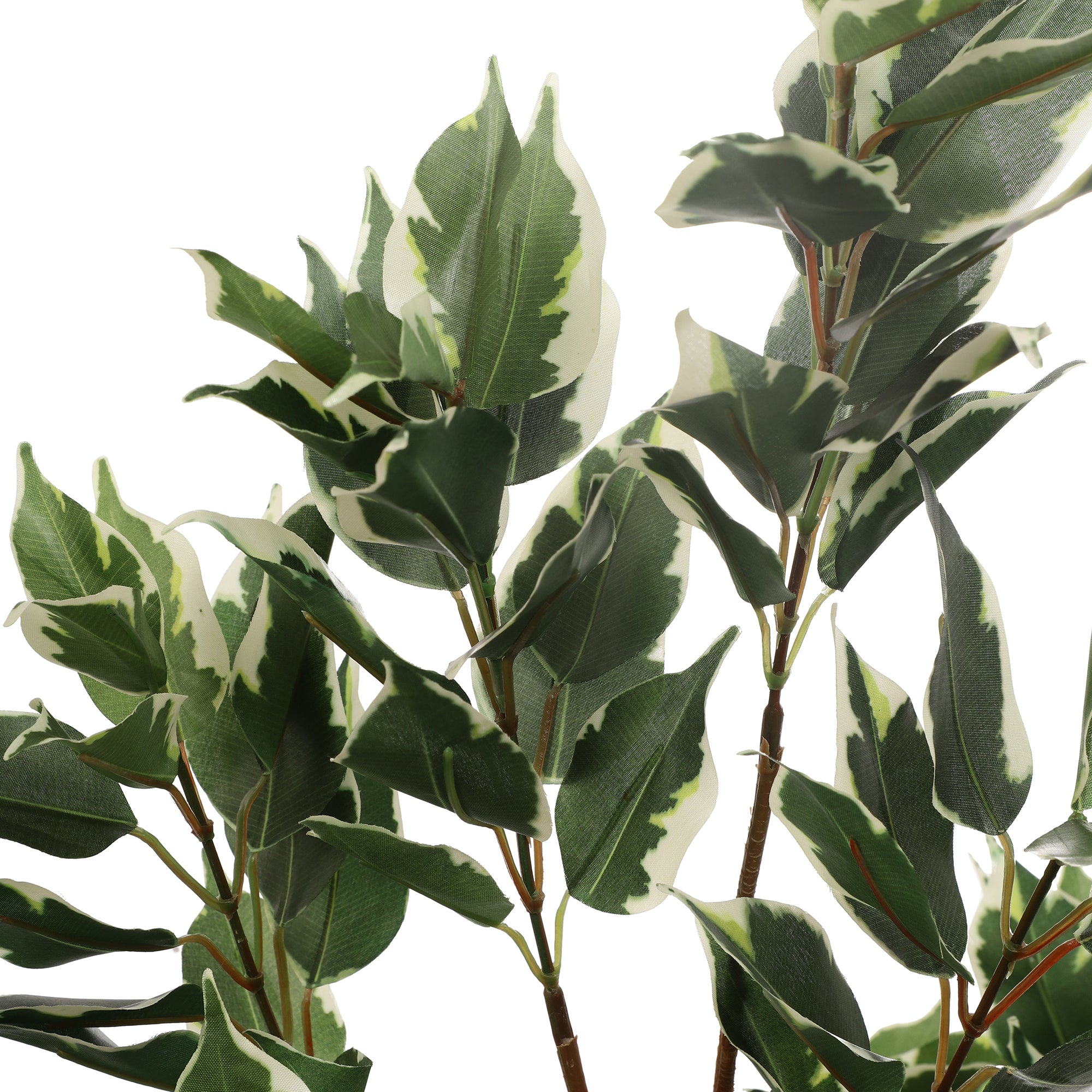 Schefflera Faux Plant (Dark Green/White)