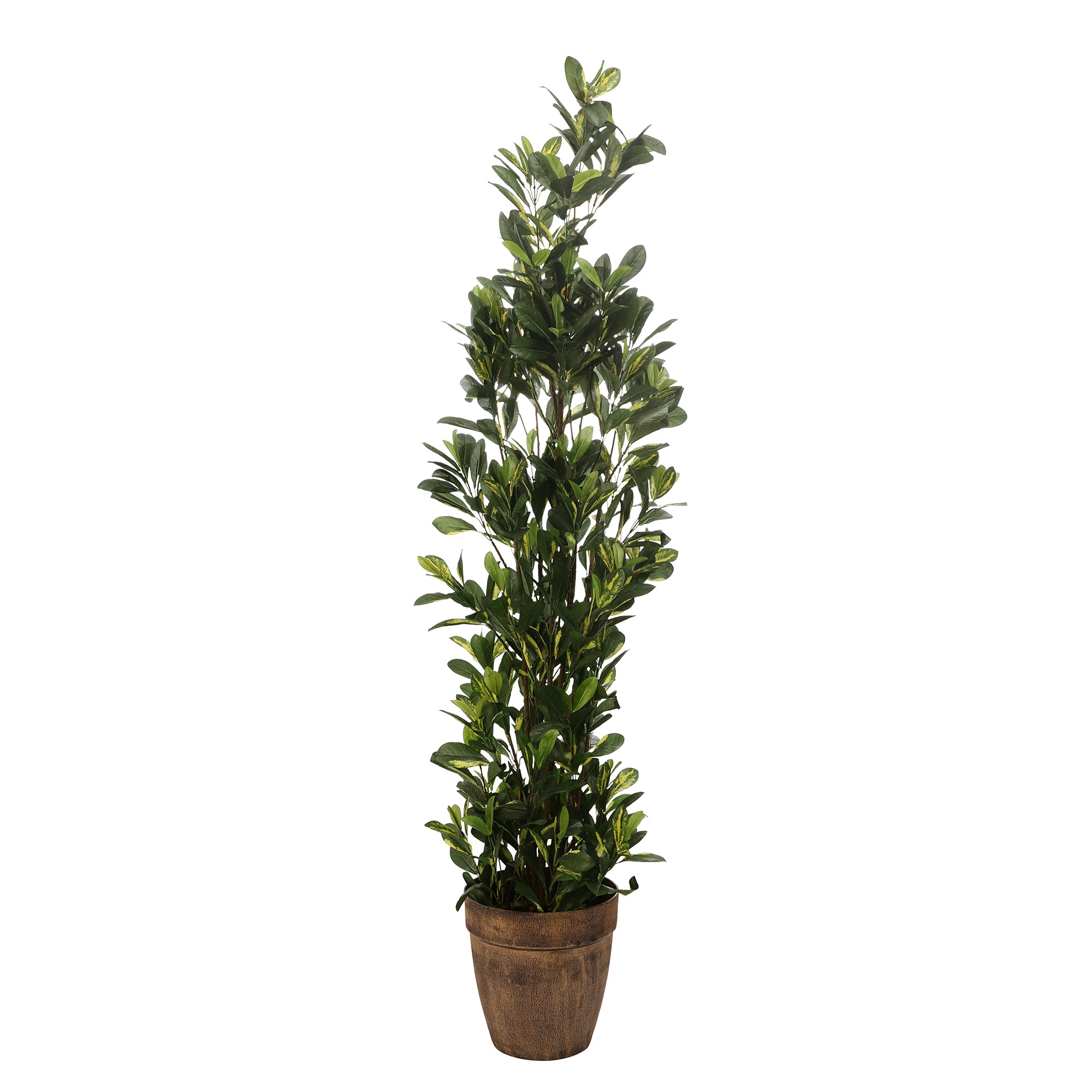 Schefflera Faux Plant (Dark Green)