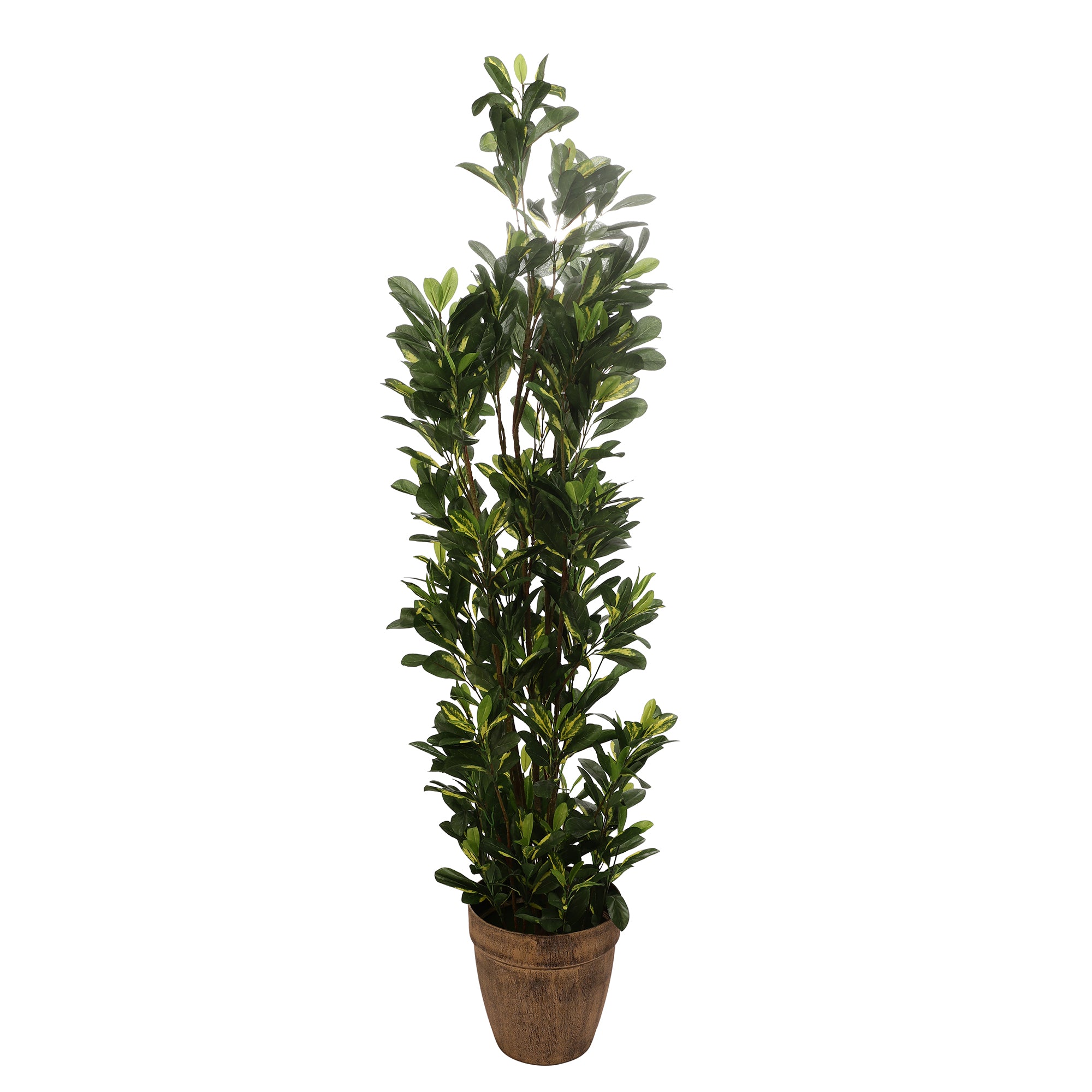 Schefflera Faux Plant (Dark Green)