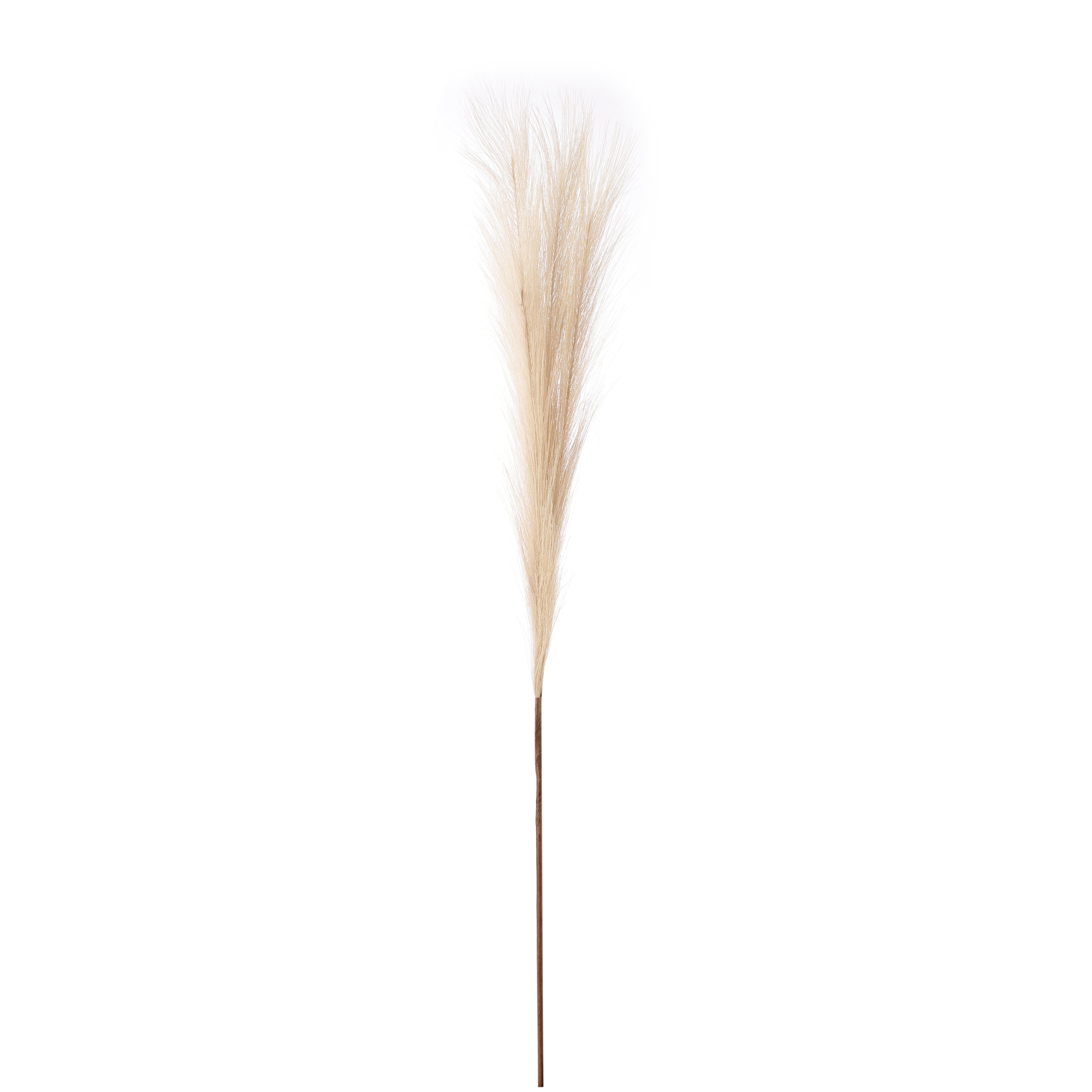 Beige Faux Pampas Grass Stick (Set of 5)