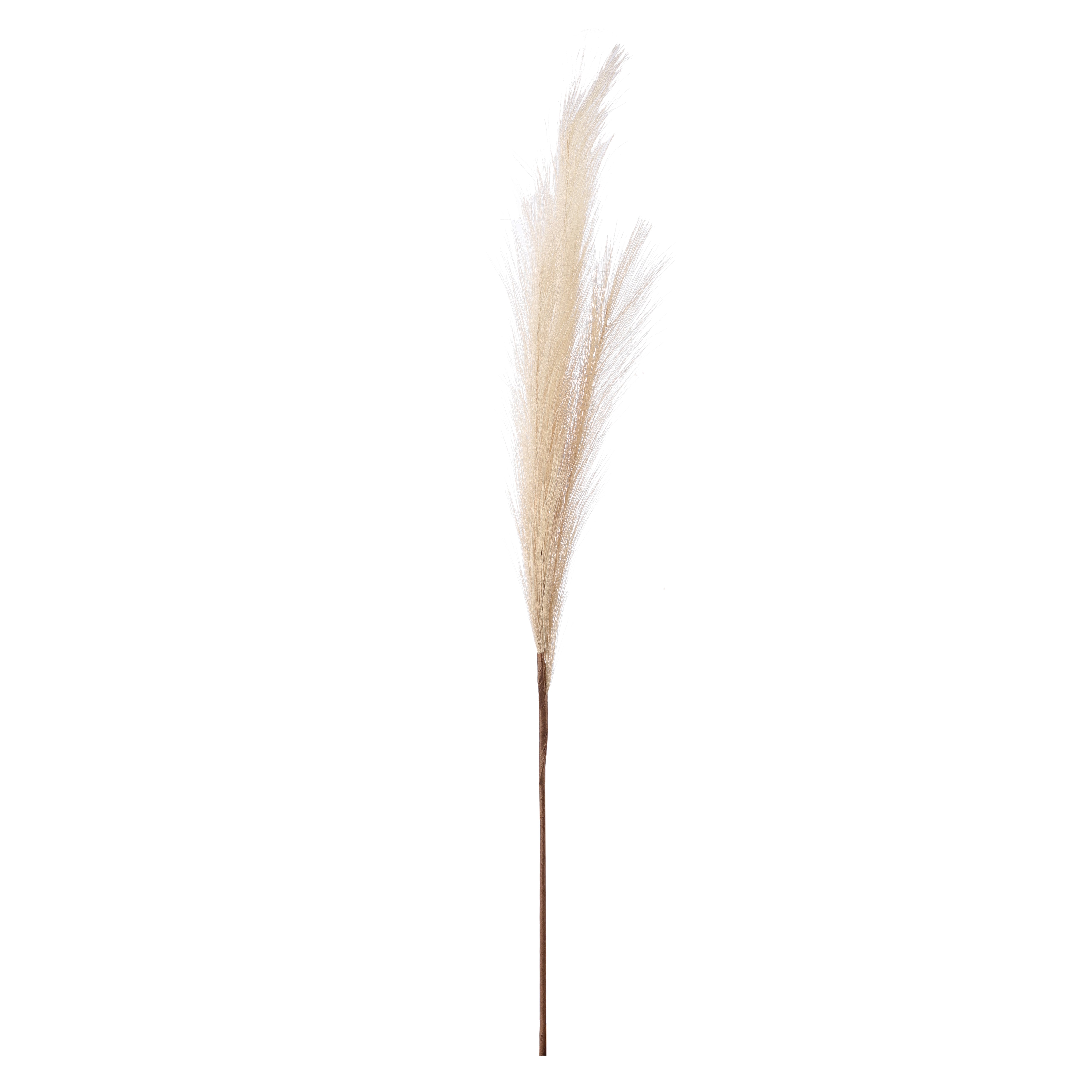 Beige Faux Pampas Grass Stick (Set of 5)