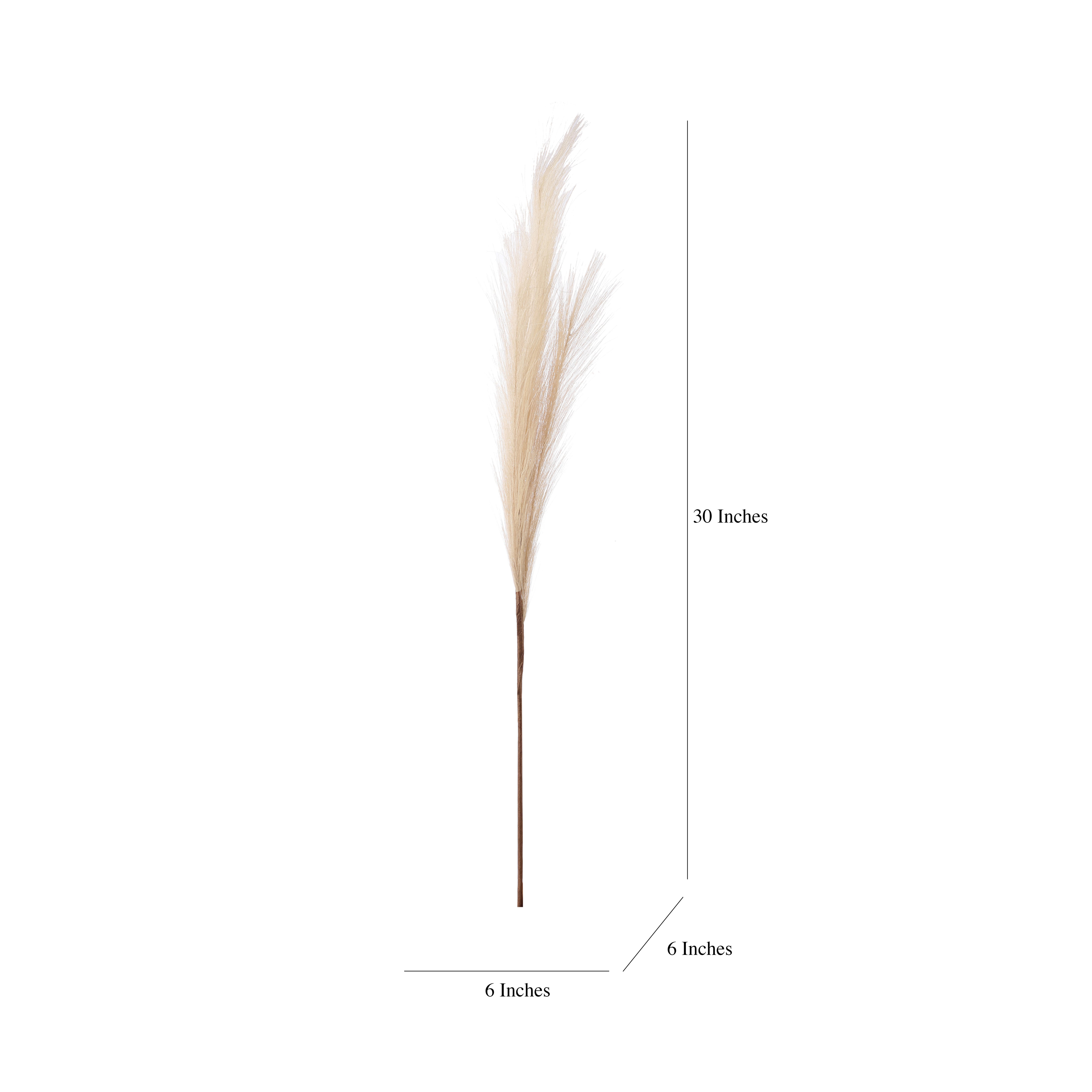 Beige Faux Pampas Grass Stick (Set of 5)