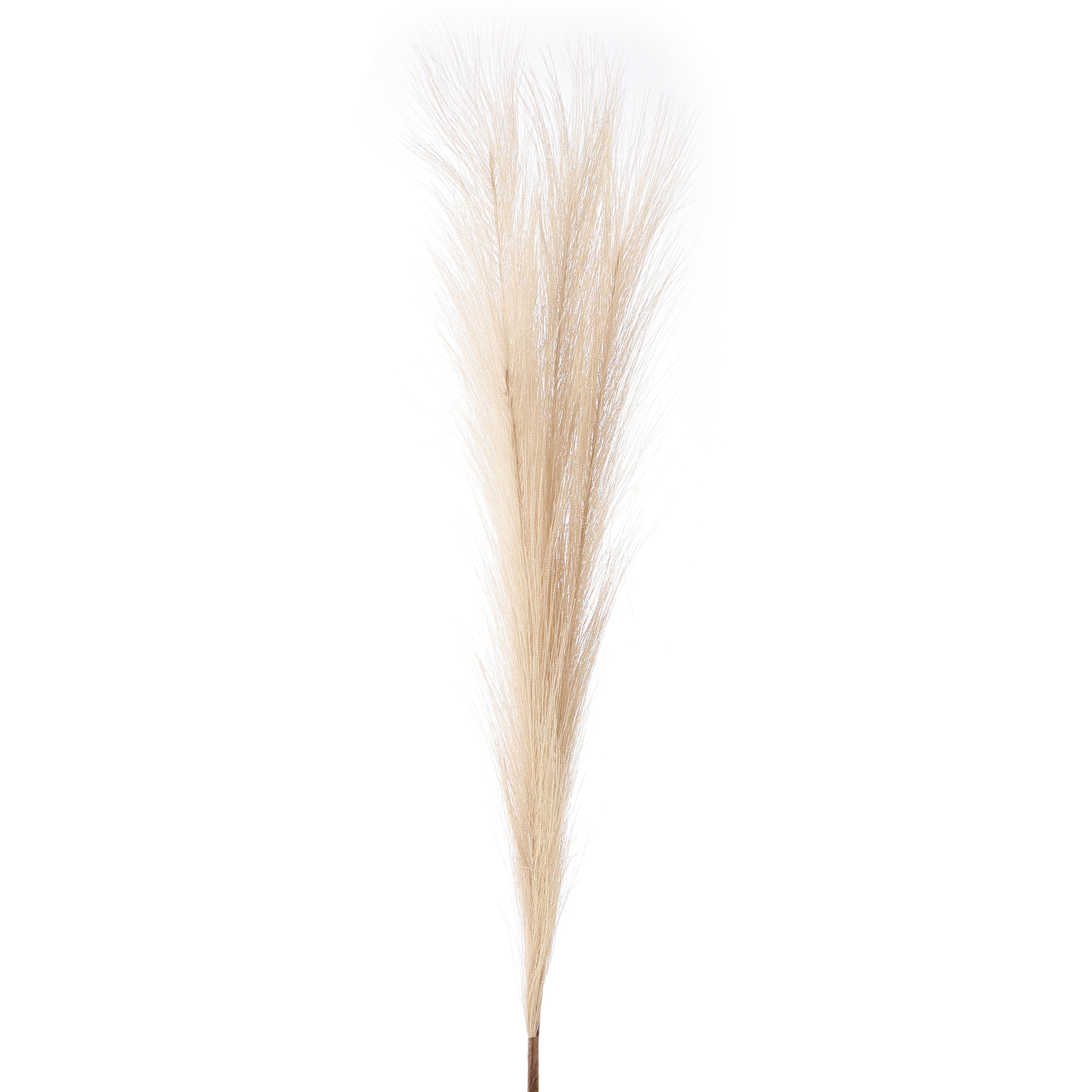 Beige Faux Pampas Grass Stick (Set of 5)