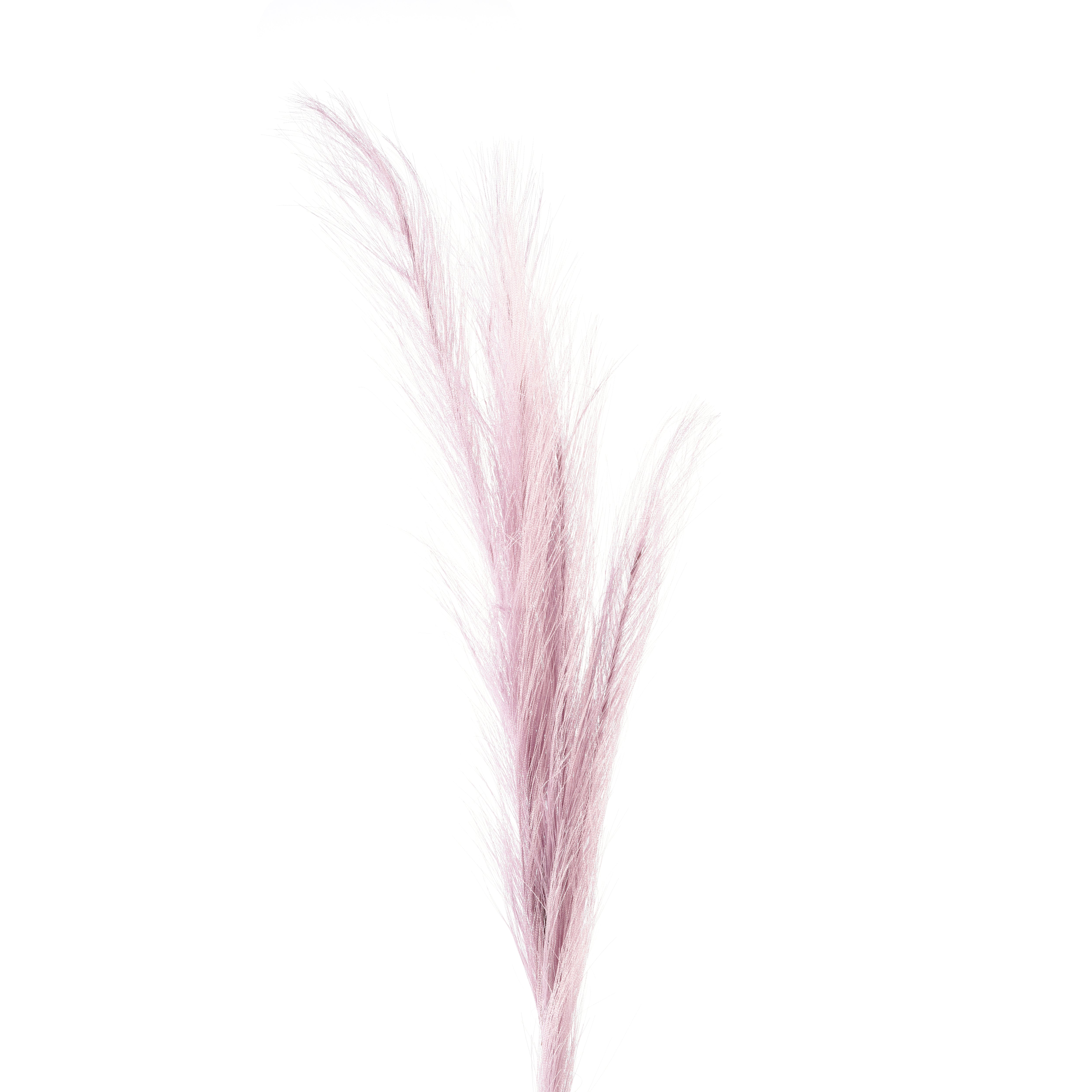 Fuchsia Faux Pampas Grass Stick (Set of 5)