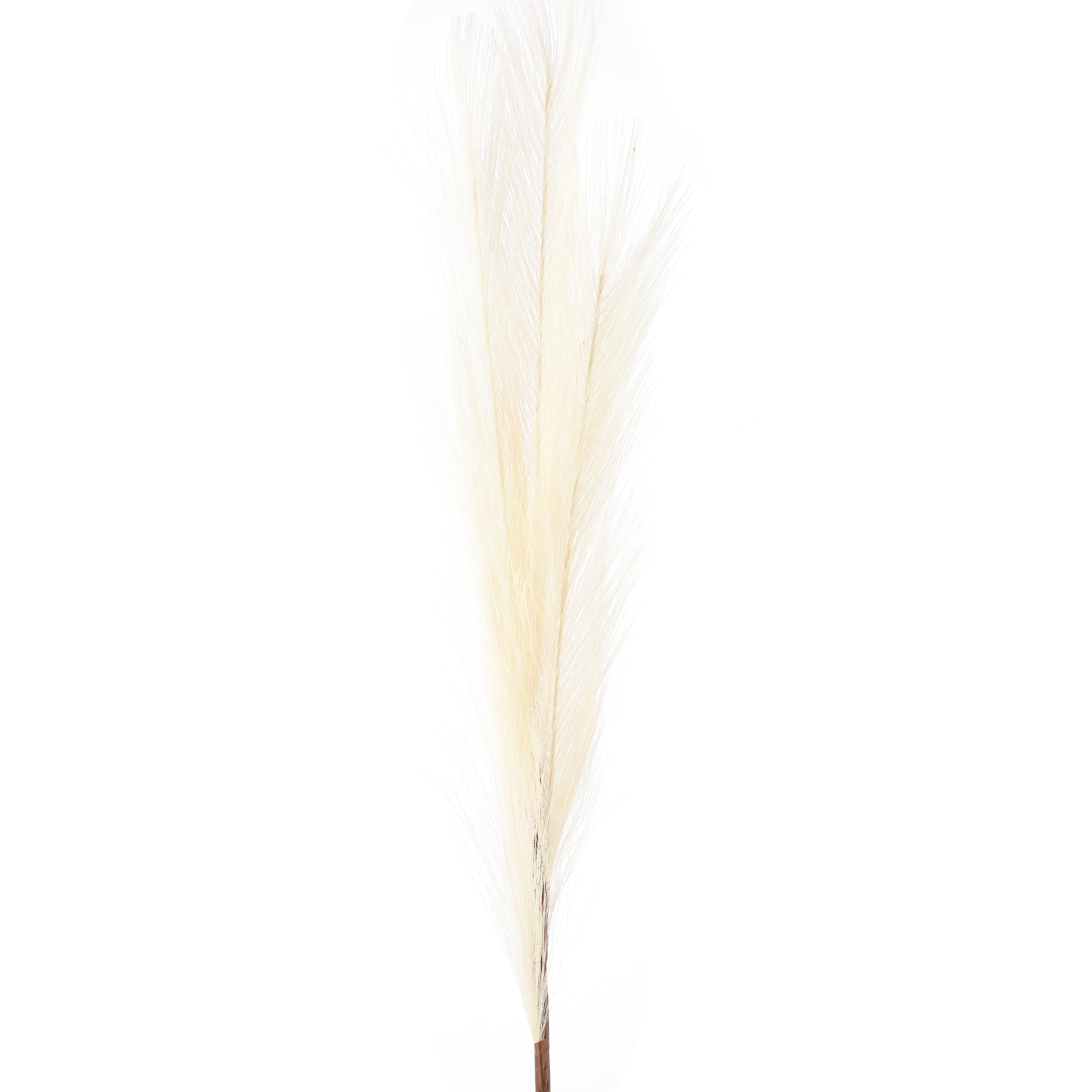 Cream Faux Pampas Grass Stick (Set of 5)