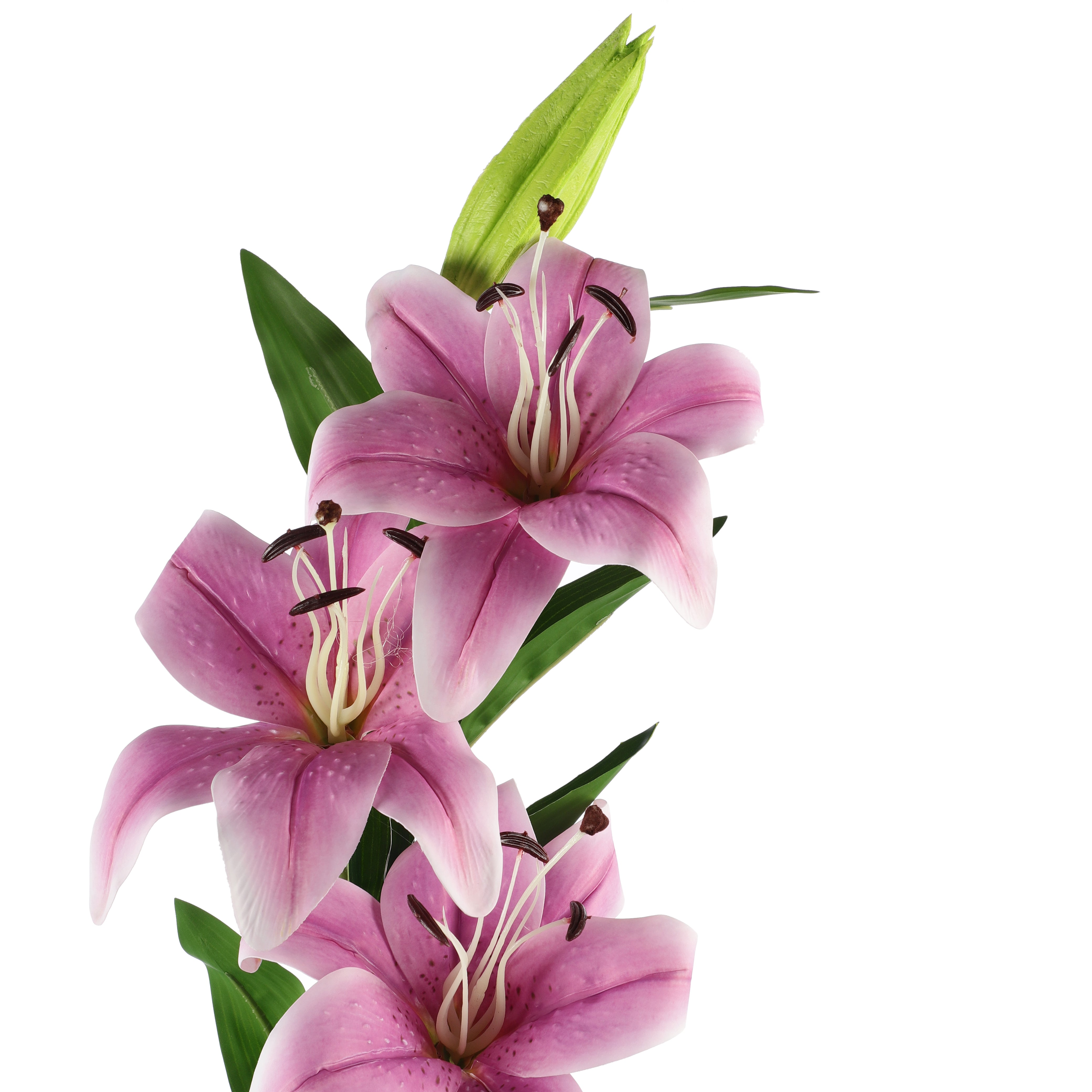 Faux Mauve Lilly (Single)