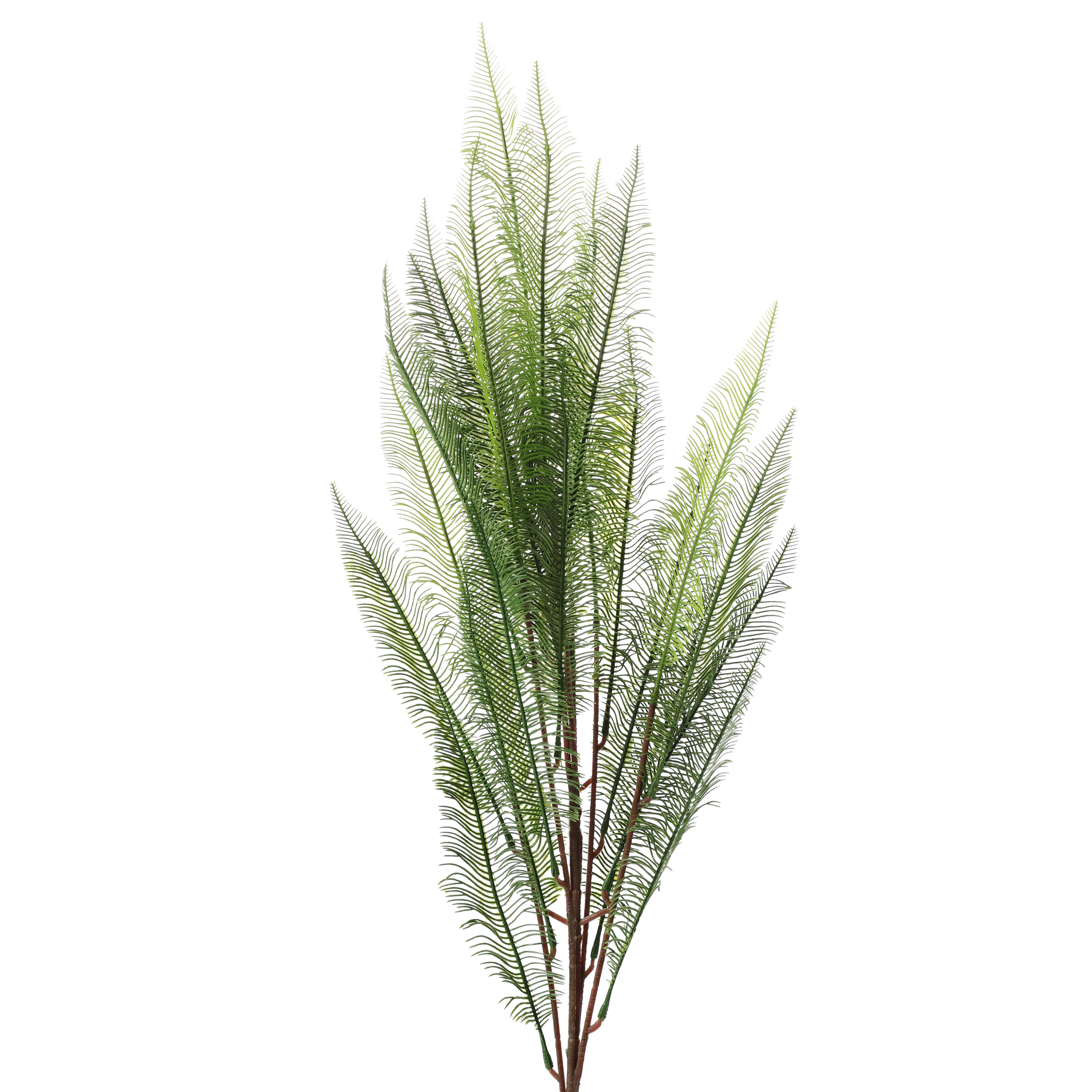 Evergreen Fern Stem (Single)