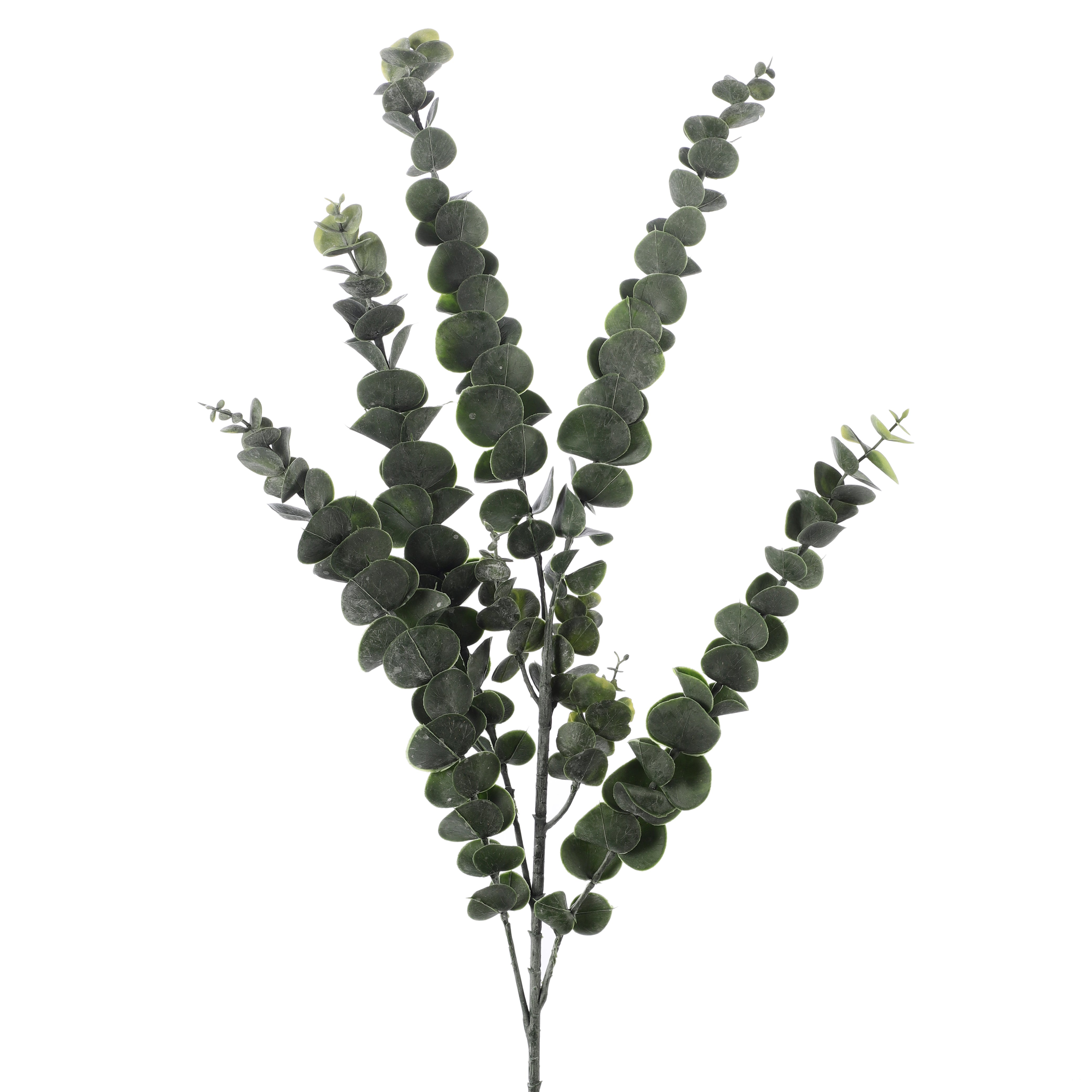 Faux Eucalyptus Stem (Single)