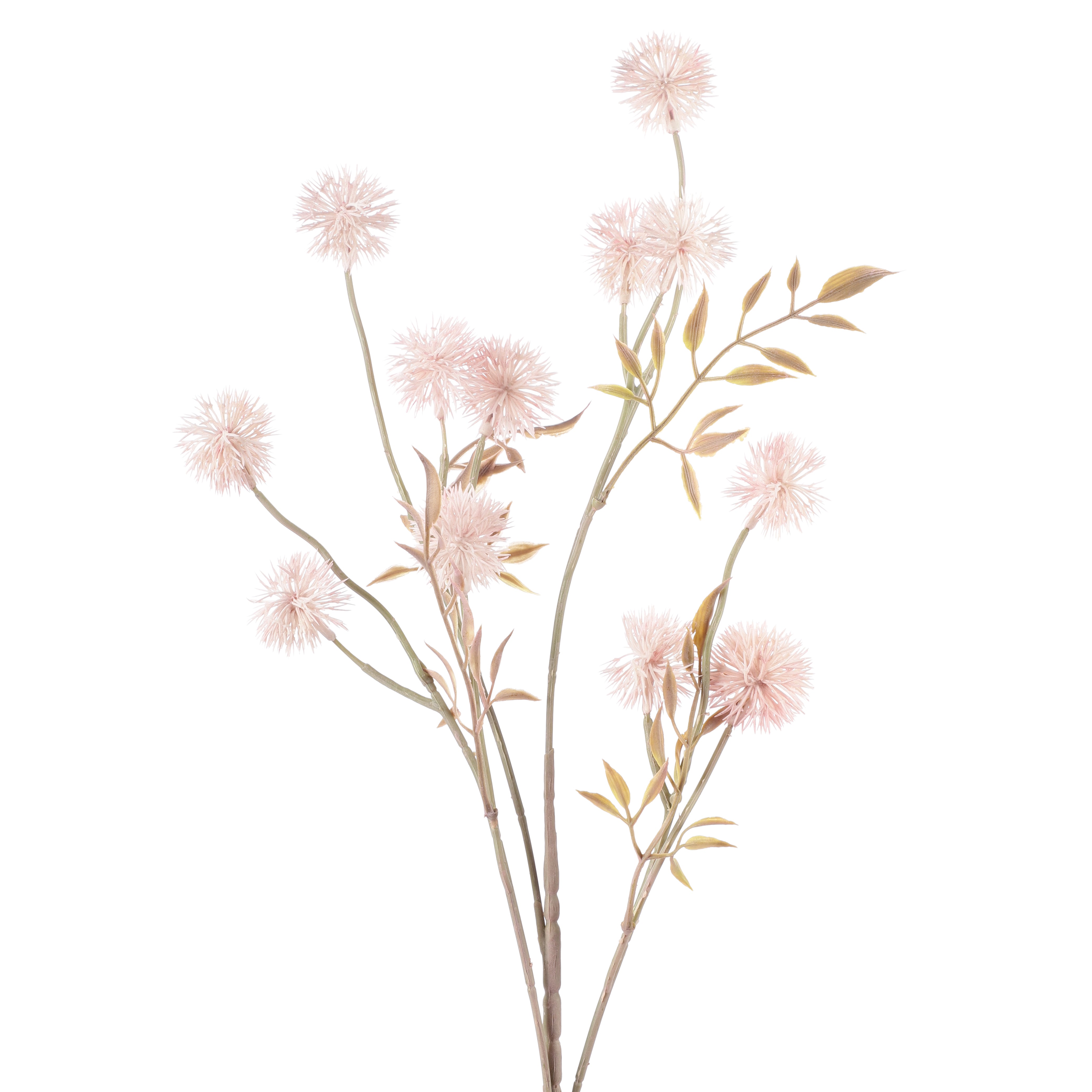 Faux Blush Pink Globe Thistle Stem (Single)