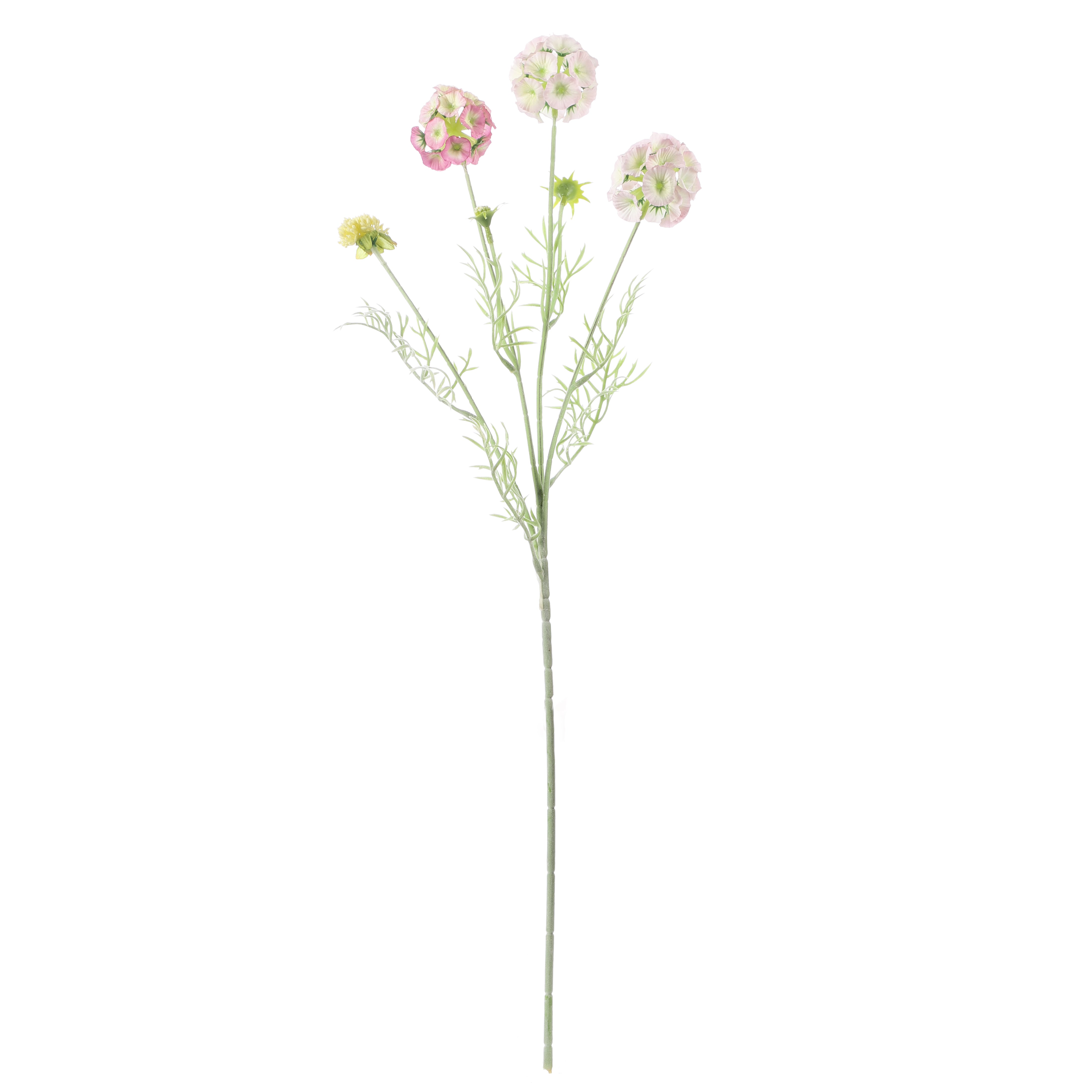 Faux Blush Pink Scabiosa Stellata Stem (Single)