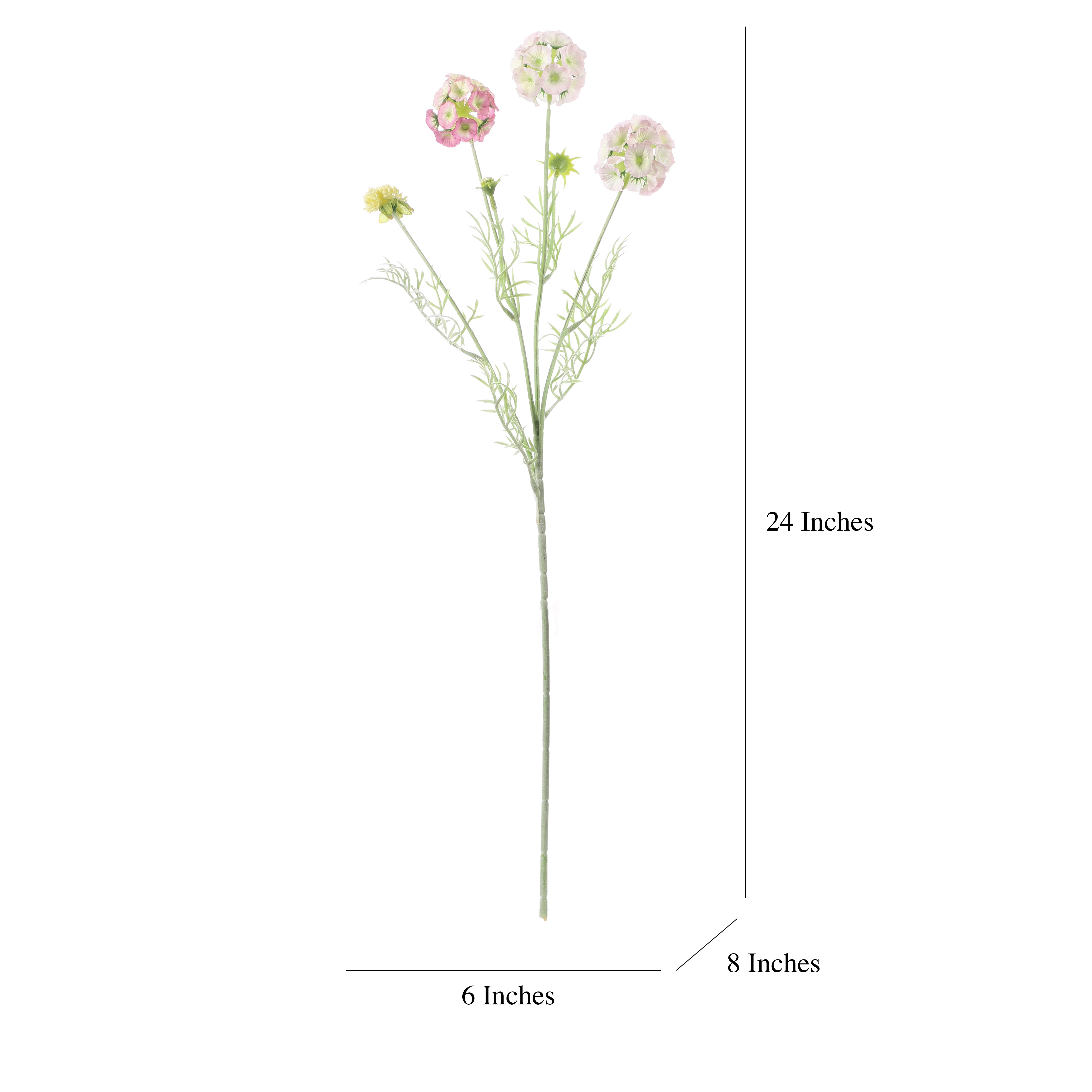 Faux Blush Pink Scabiosa Stellata Stem (Single)