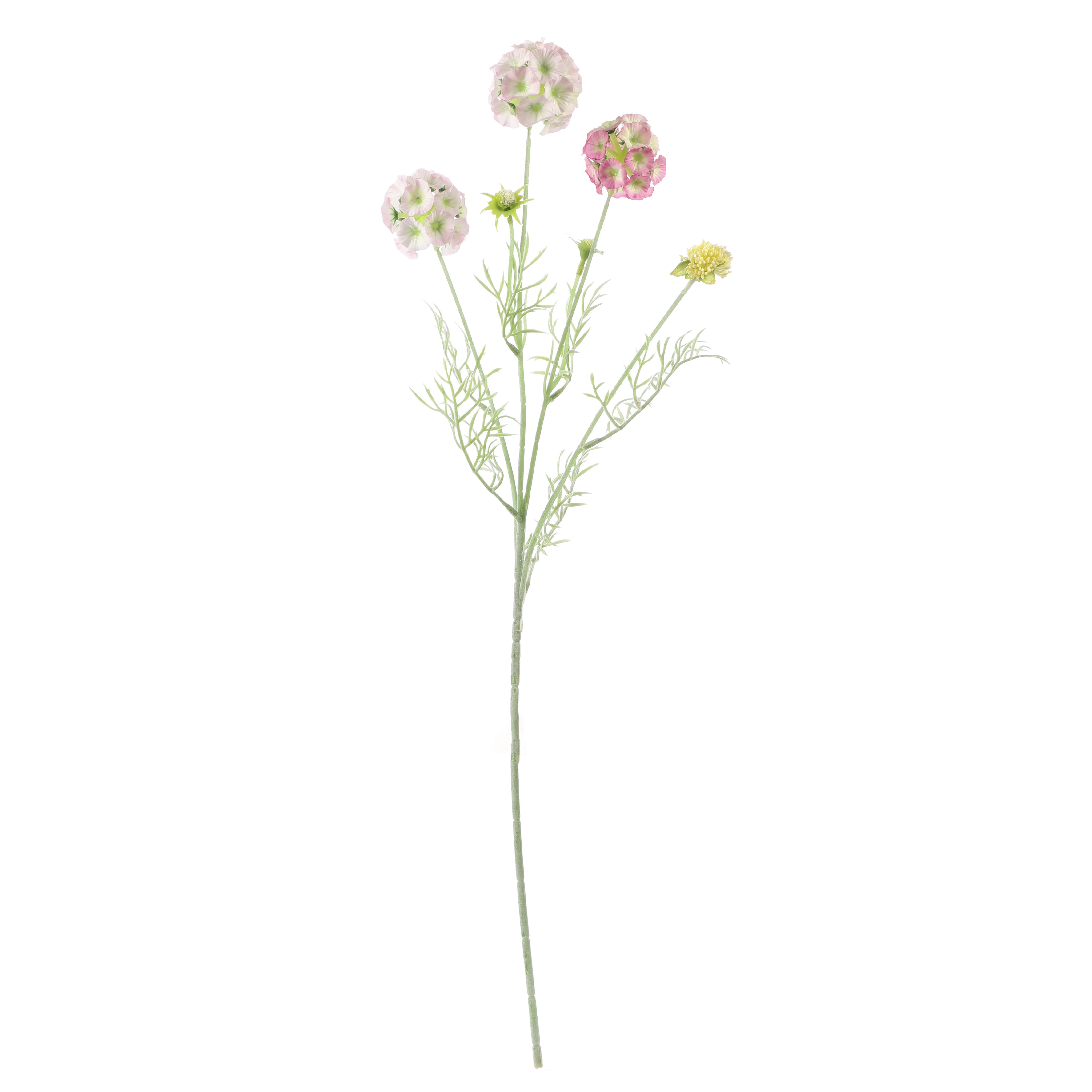 Faux Blush Pink Scabiosa Stellata Stem (Single)