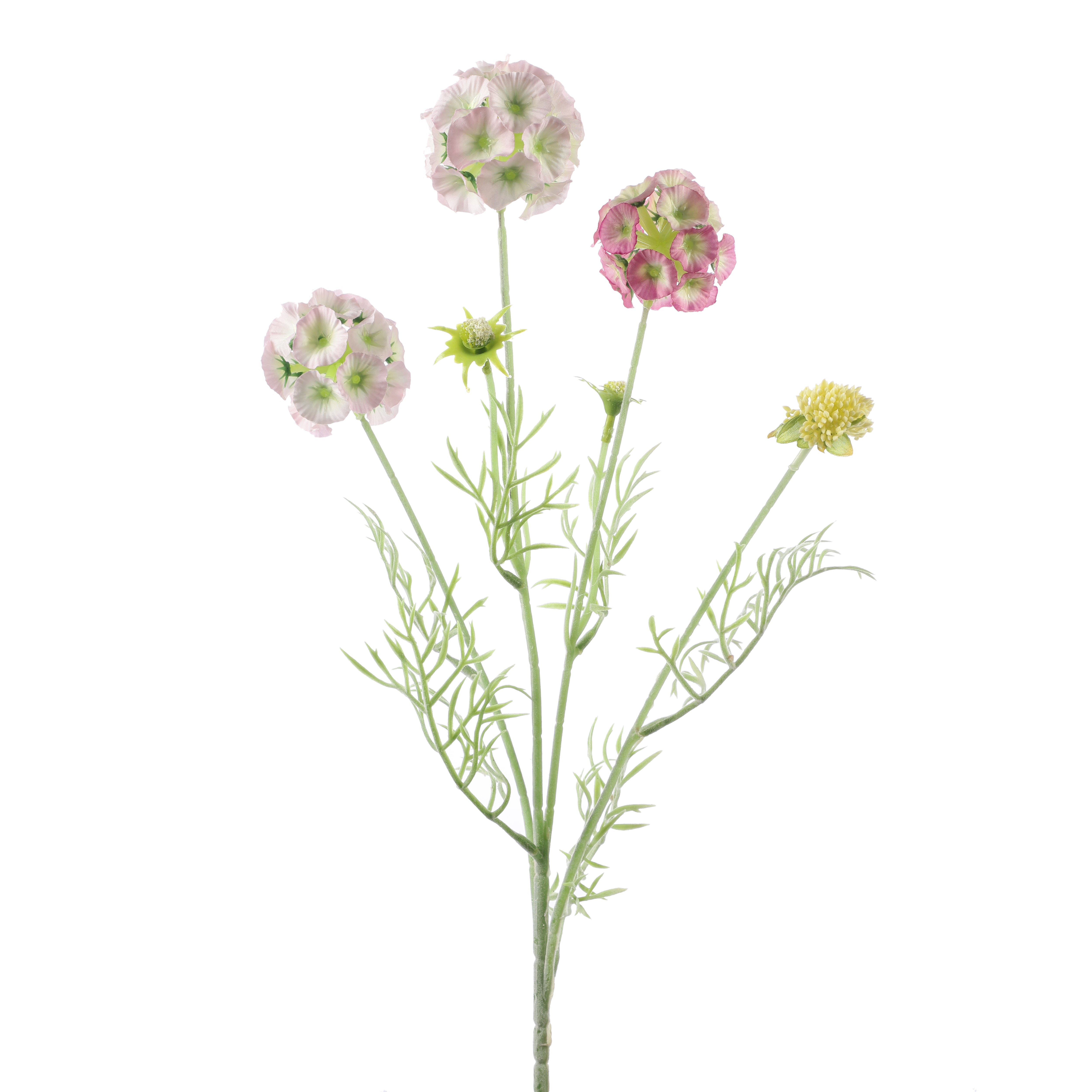 Faux Blush Pink Scabiosa Stellata Stem (Single)