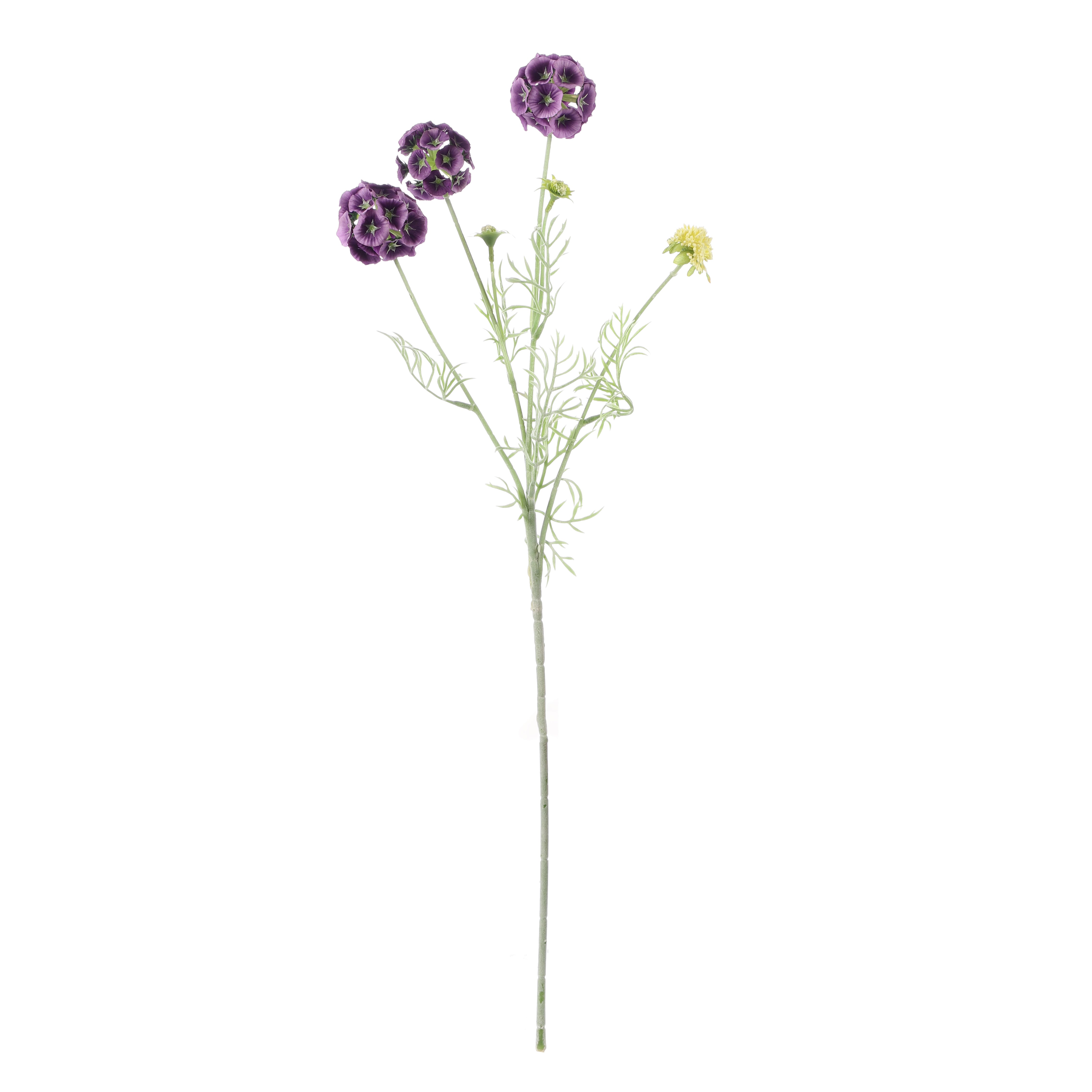 Faux Purple Scabiosa Stellata Stem (Single)