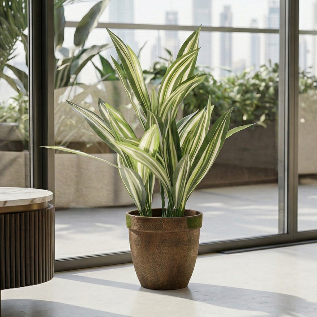 dracaena faux plant Striped Dracaena Faux Plant