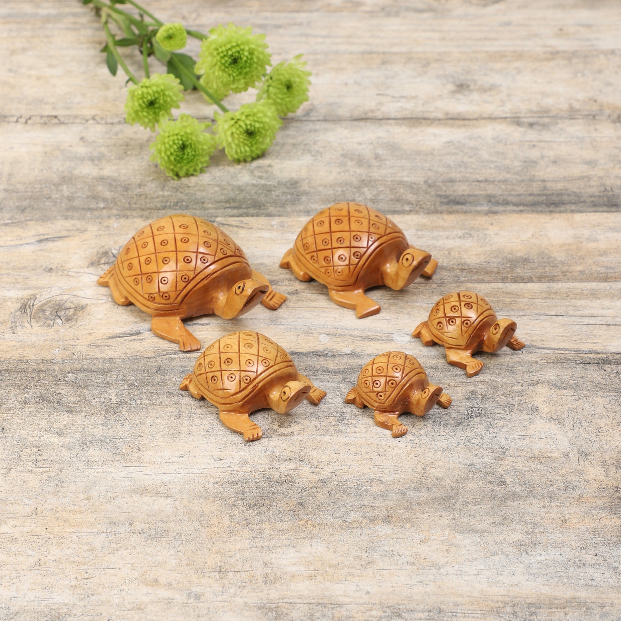 A Bale of Turtles (Set of 5)
