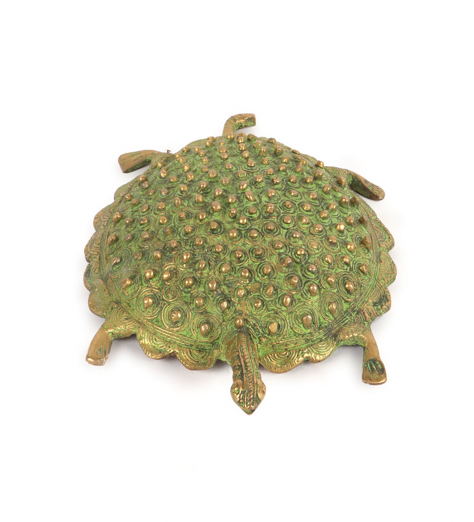 The Spotted Turtle (Single)