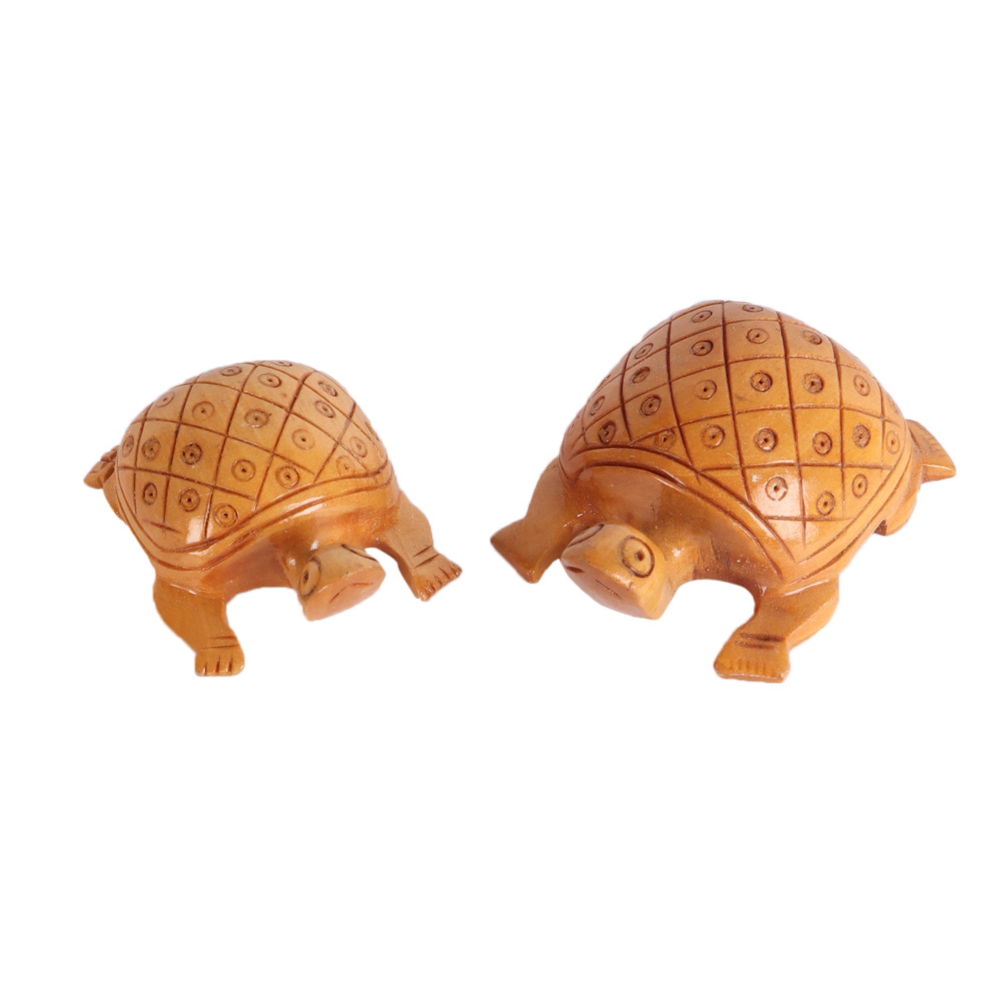 A Bale of Turtles (Set of 5)3