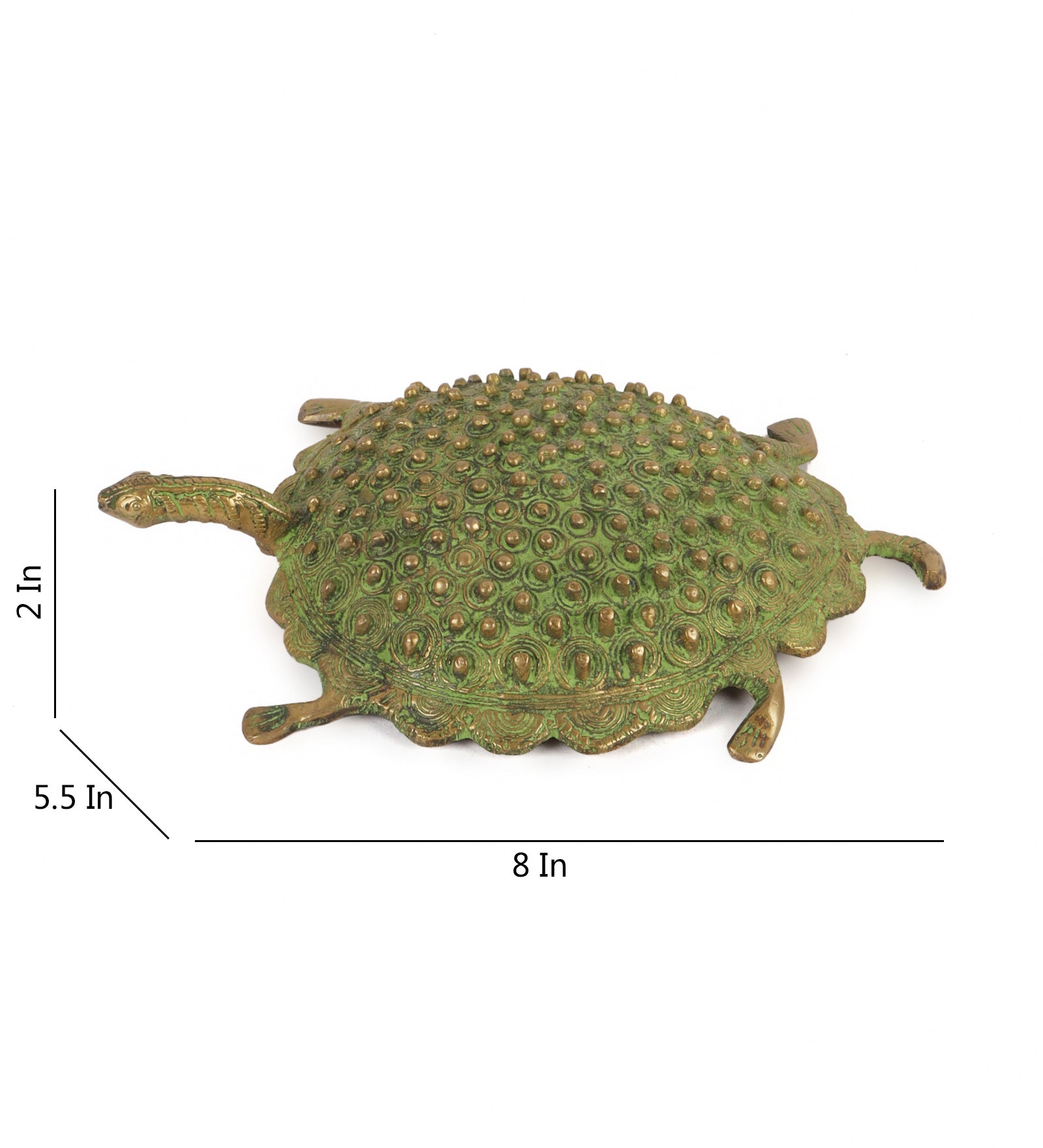 The Spotted Turtle (Single)