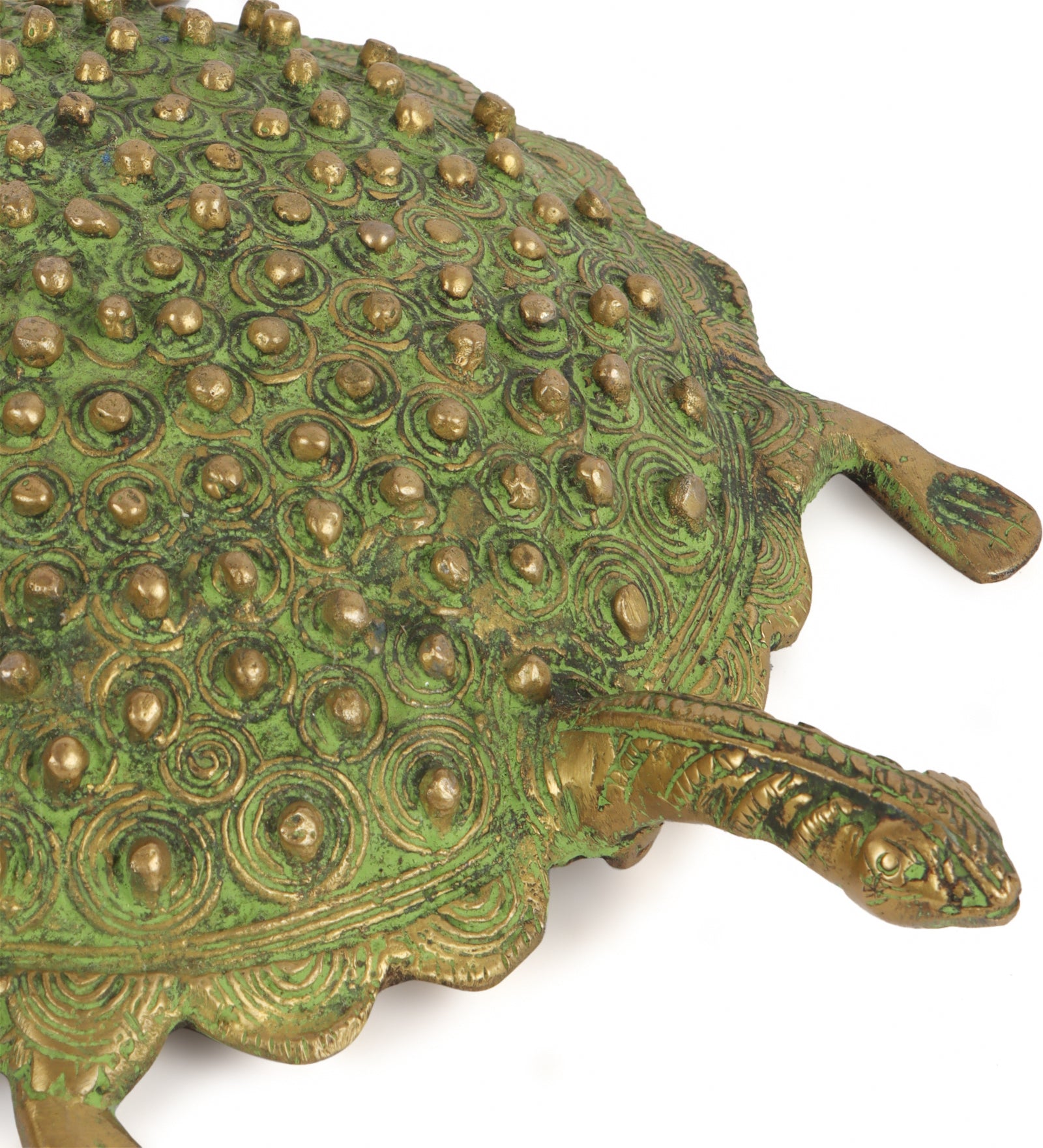 The Spotted Turtle (Single)