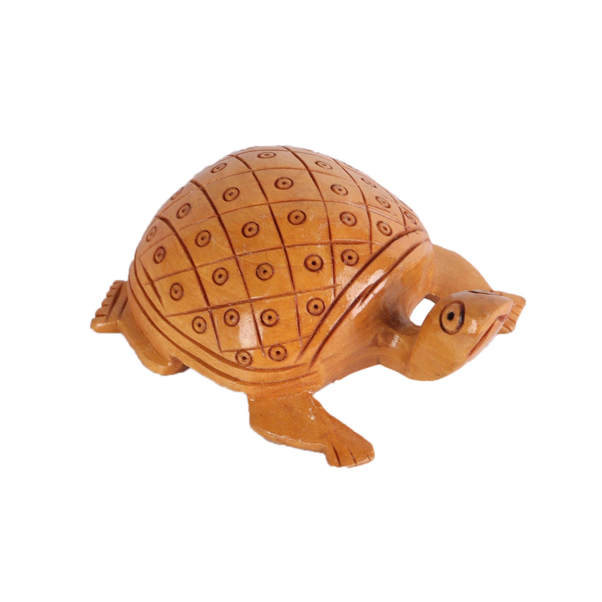 A Bale of Turtles (Set of 5)5