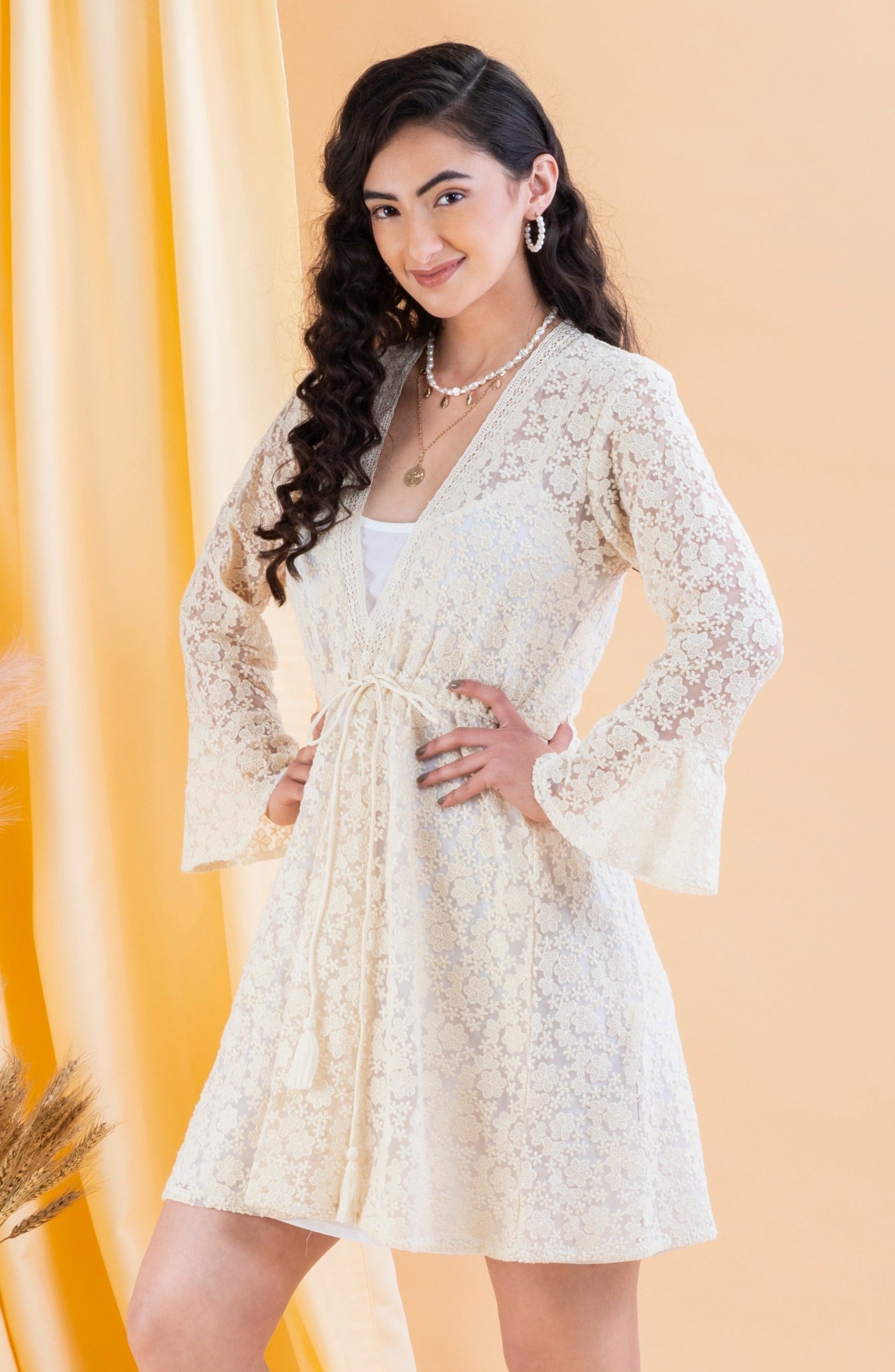 Bell Sleeves Embroidered Net Dress